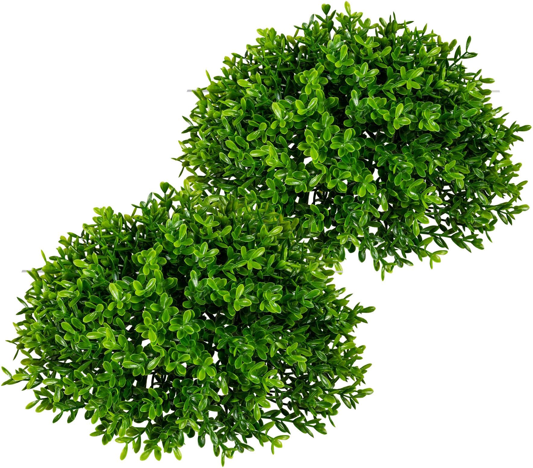 Creativ green Kunstpflanze »Teeblatt-Halbkugel« kaufen | BAUR