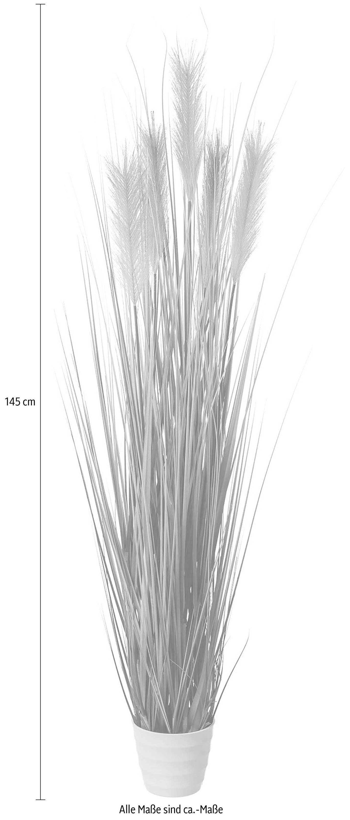 Creativ green Kunstgras günstig online kaufen