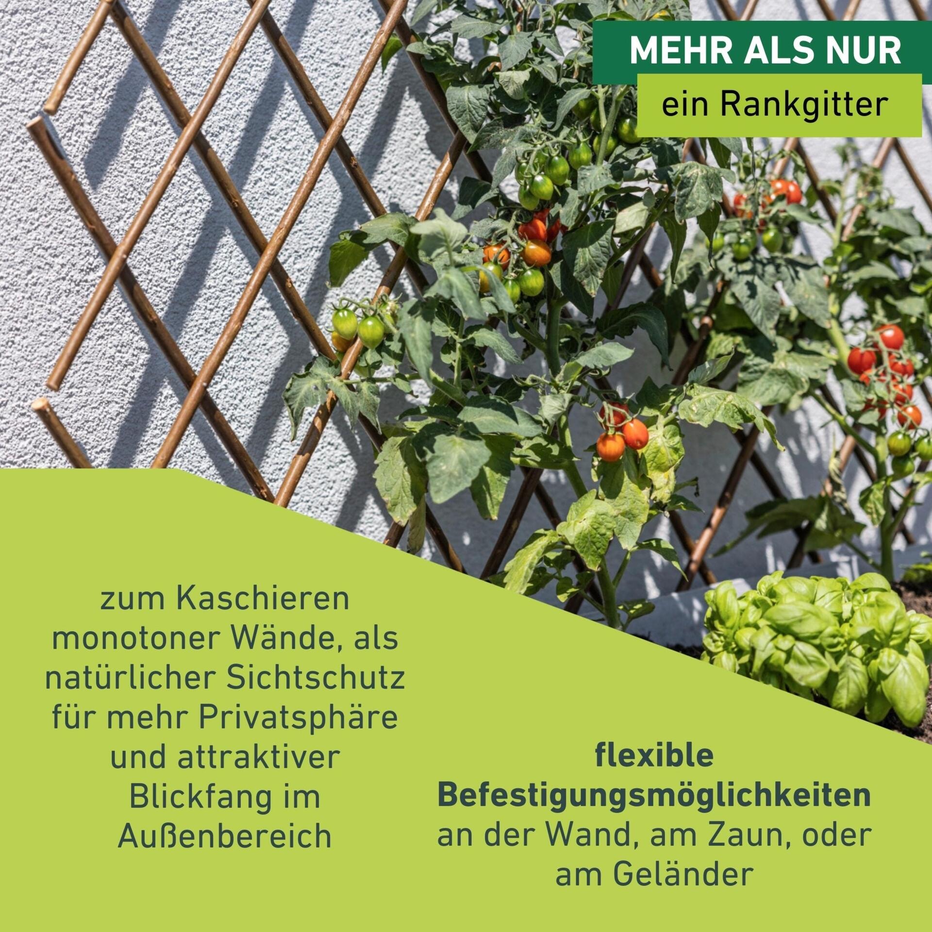 Windhager Rankgitter »Weide-Spalier ideal für Balkon, Terrasse oder Garten ausziehbar« Kletterhilfe für Pflanzen, erhältlich in 60 x 120 cm oder 120 x 180 cm