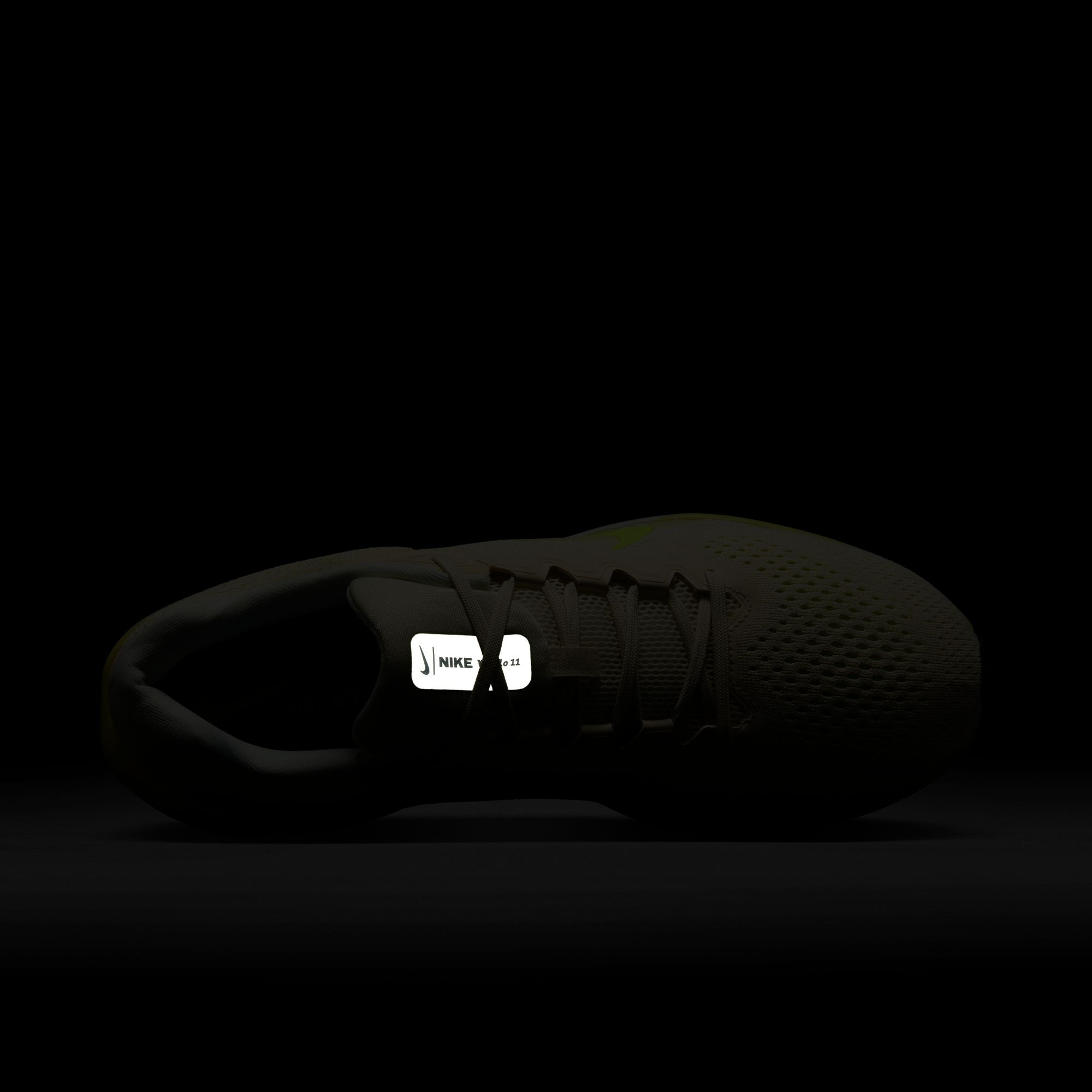 Nike Laufschuh »AIR WINFLO 11«
