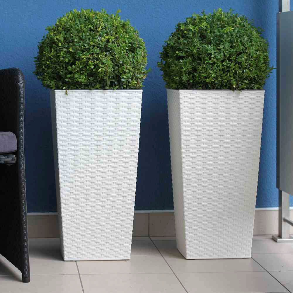 Siena Garden Pflanzkübel, Rattanoptik, eckig