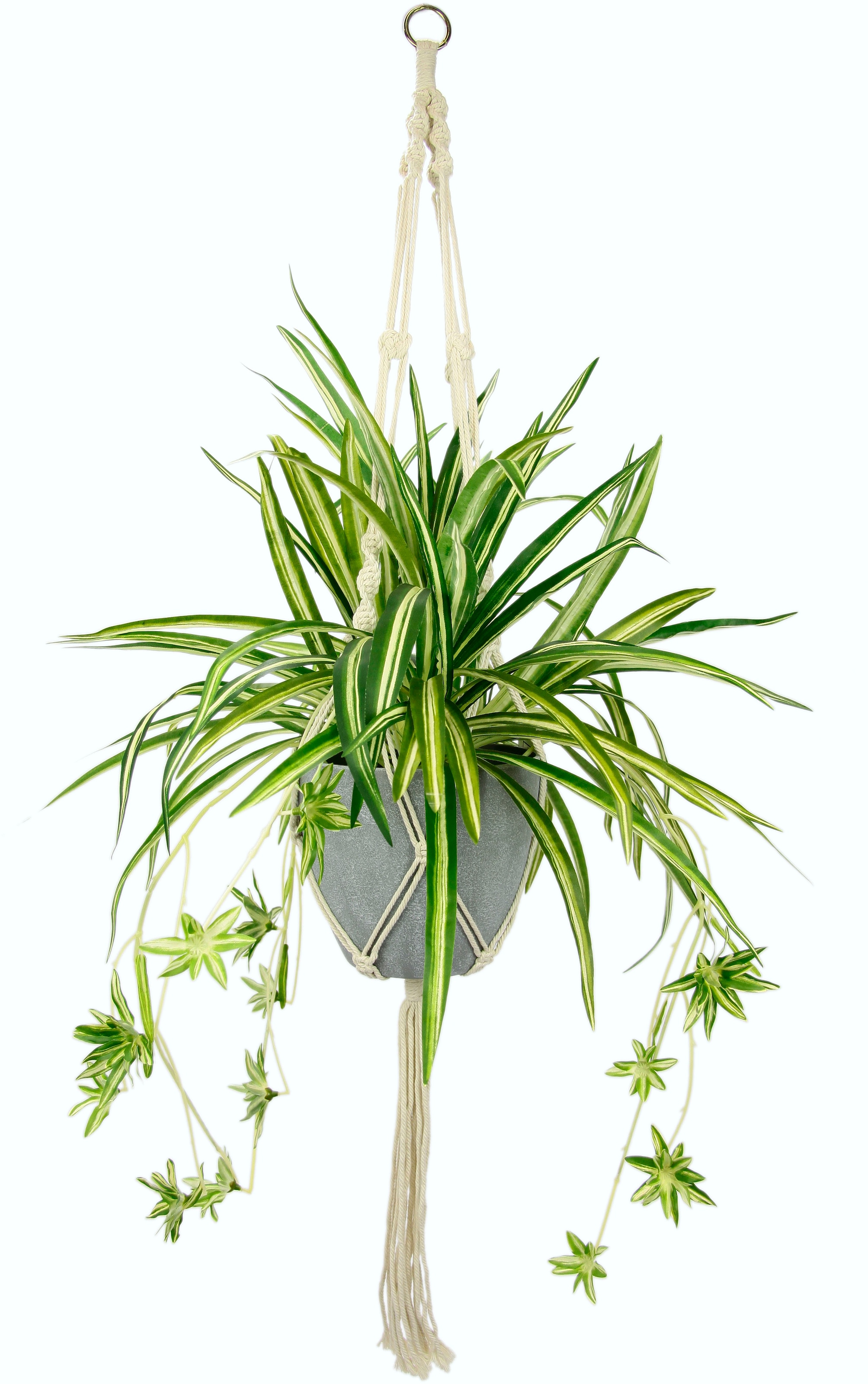 »Wasserlilie«, kaufen BAUR im mit Kunststofftopf, Künstliche I.GE.A. Hängeampel | Zimmerpflanze