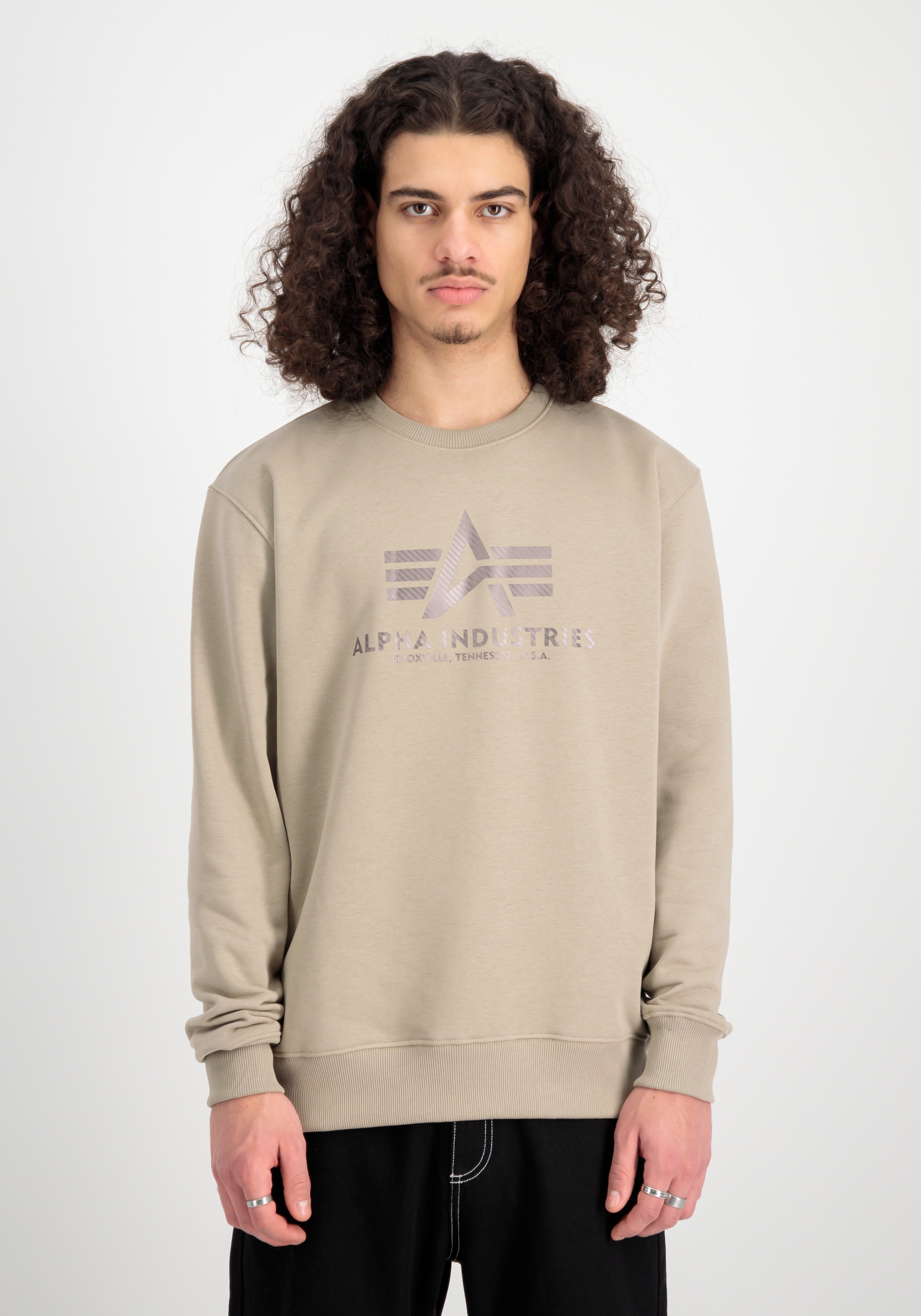 Alpha Industries Sweater »Alpha Industries Men - Sweatshirts Basic Sweater Carbon«