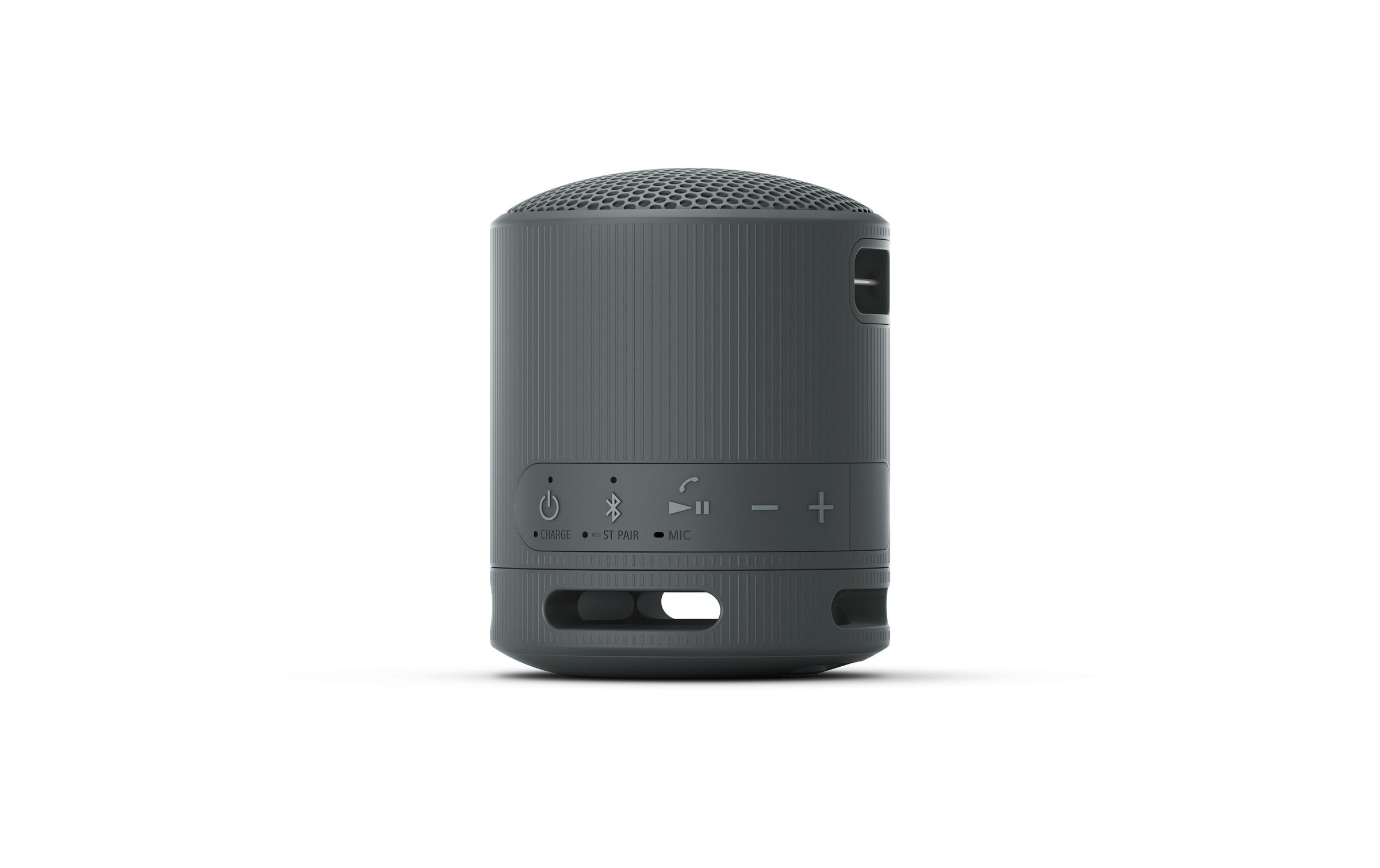 Sony Bluetooth-Speaker (Bluetooth )