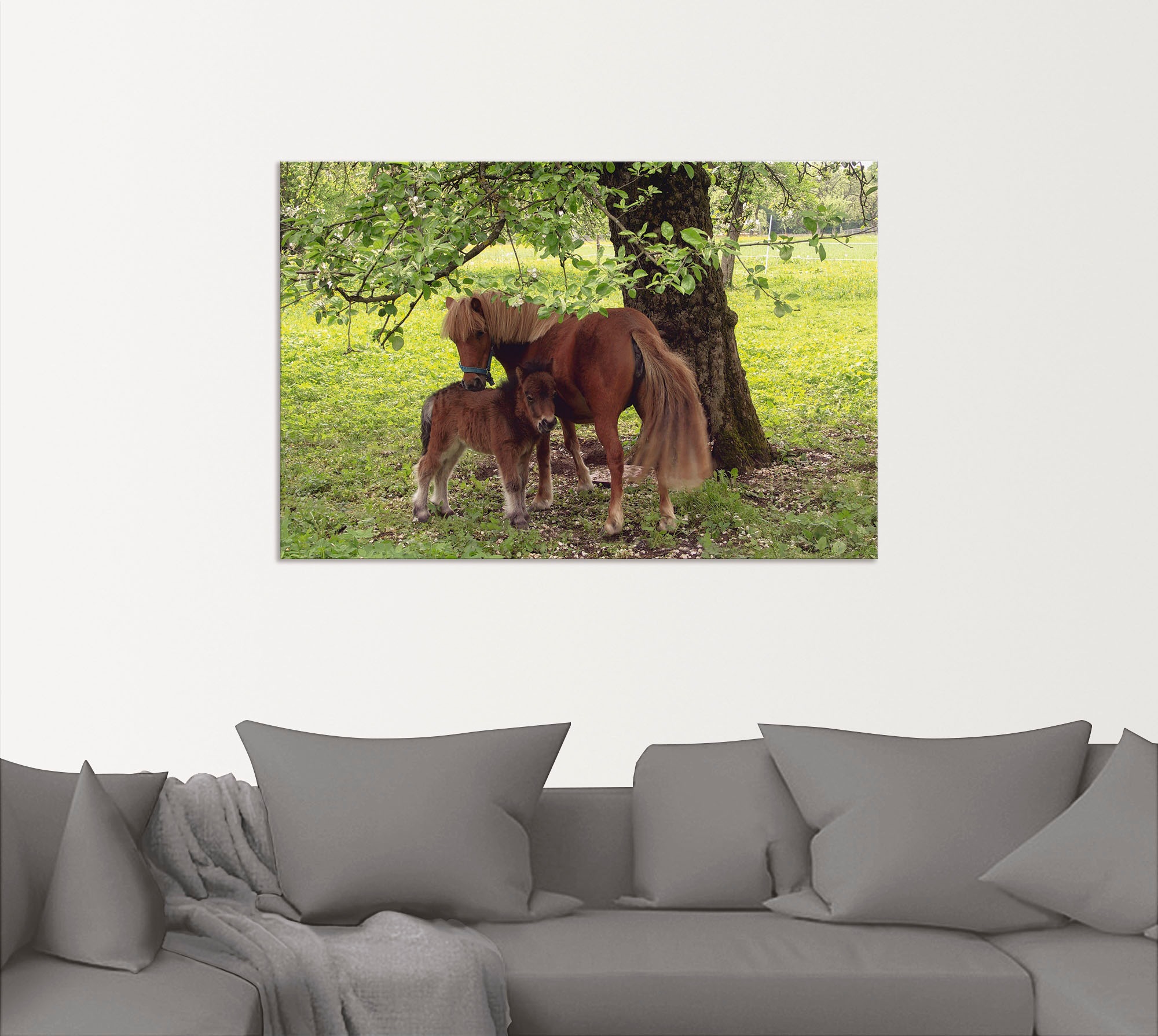 Artland Wandbild "Pony - Mutterglück", Haustiere, (1 St.), als Alubild, Out günstig online kaufen