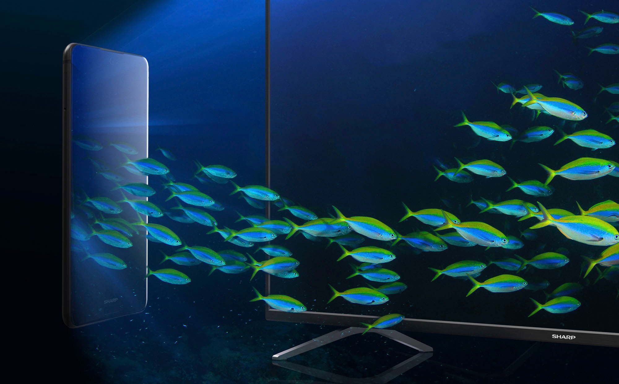Sharp LED-Fernseher »1T-C32FEx«, HD ready, Smart-TV