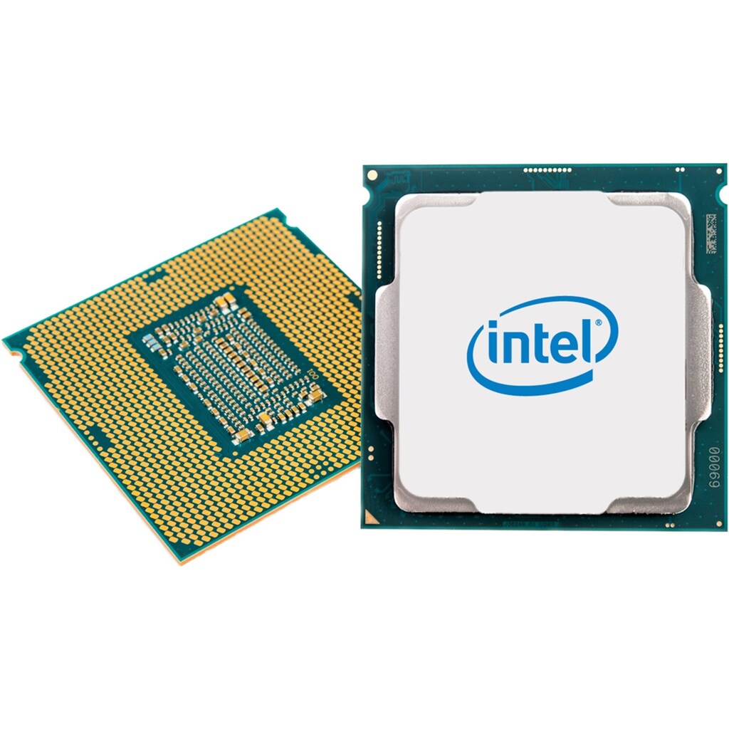 Intel® Prozessor »Core i9-10900K«