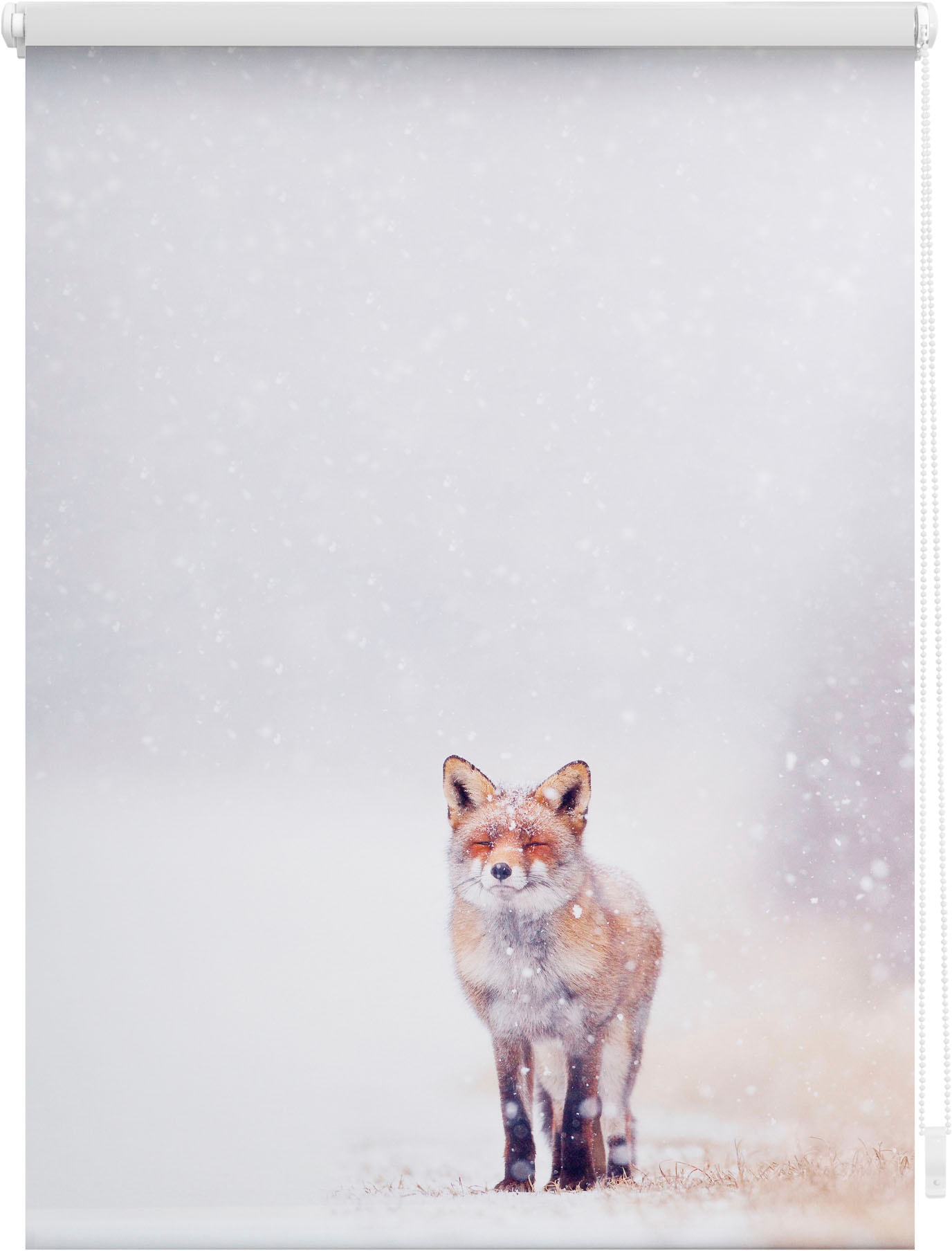 LICHTBLICK ORIGINAL Seitenzugrollo "Klemmfix Motiv Fuchs im Schnee", Lichtschutz, ohne Bohren, freihängend, bedruckt