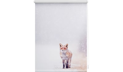 Seitenzugrollo »Klemmfix Motiv Fuchs im Schnee«, Lichtschutz, ohne Bohren, freihängend