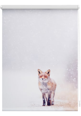 Seitenzugrollo »Klemmfix Motiv Fuchs im Schnee«, Lichtschutz, ohne Bohren,...
