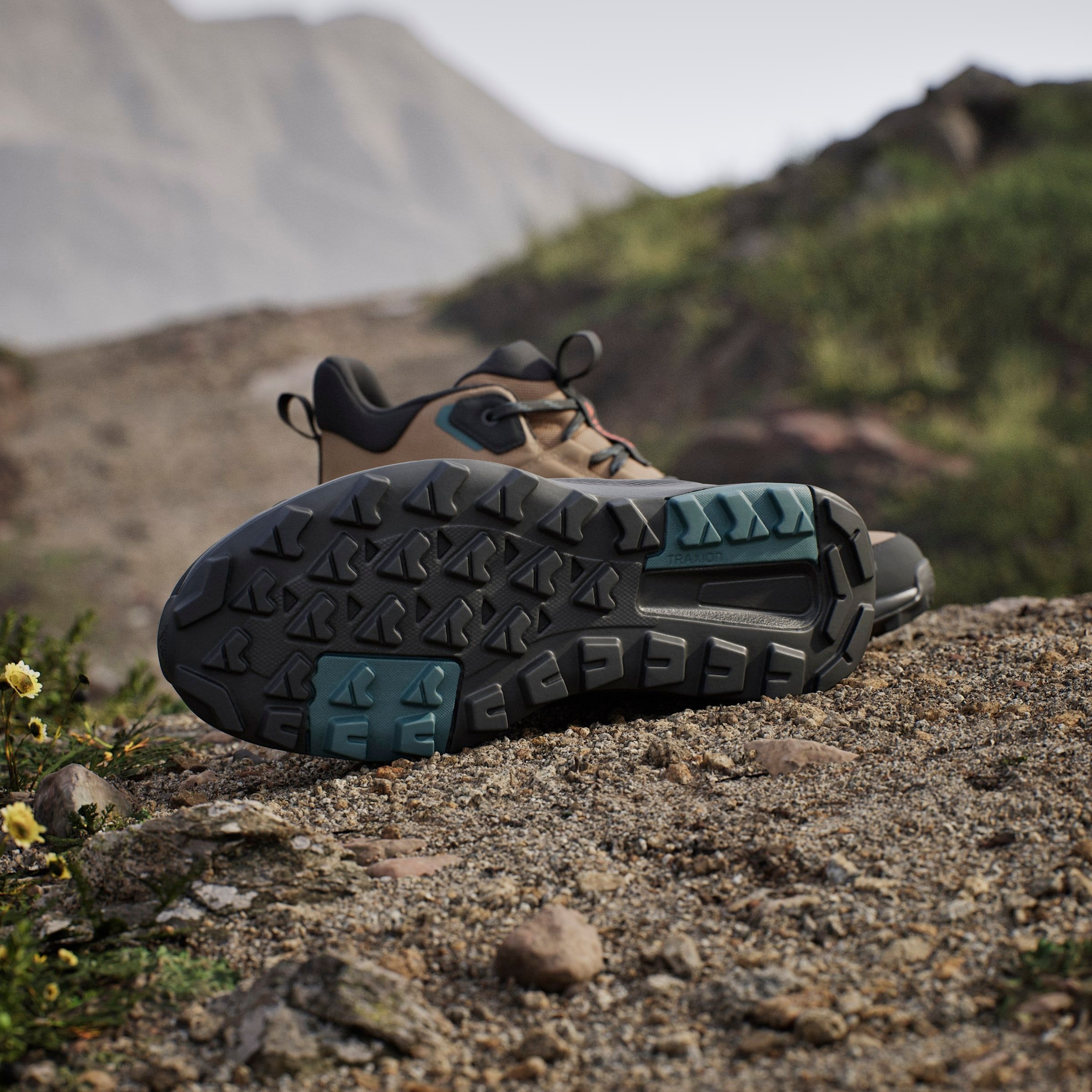 adidas TERREX Wanderschuh »TERREX ANYLANDER MID RAIN.RDY«, wasserdicht