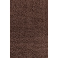 Ayyildiz Teppiche Hochflor-Teppich »Dream Shaggy«, rechteckig, 50 mm Höhe, Wohnzimmer