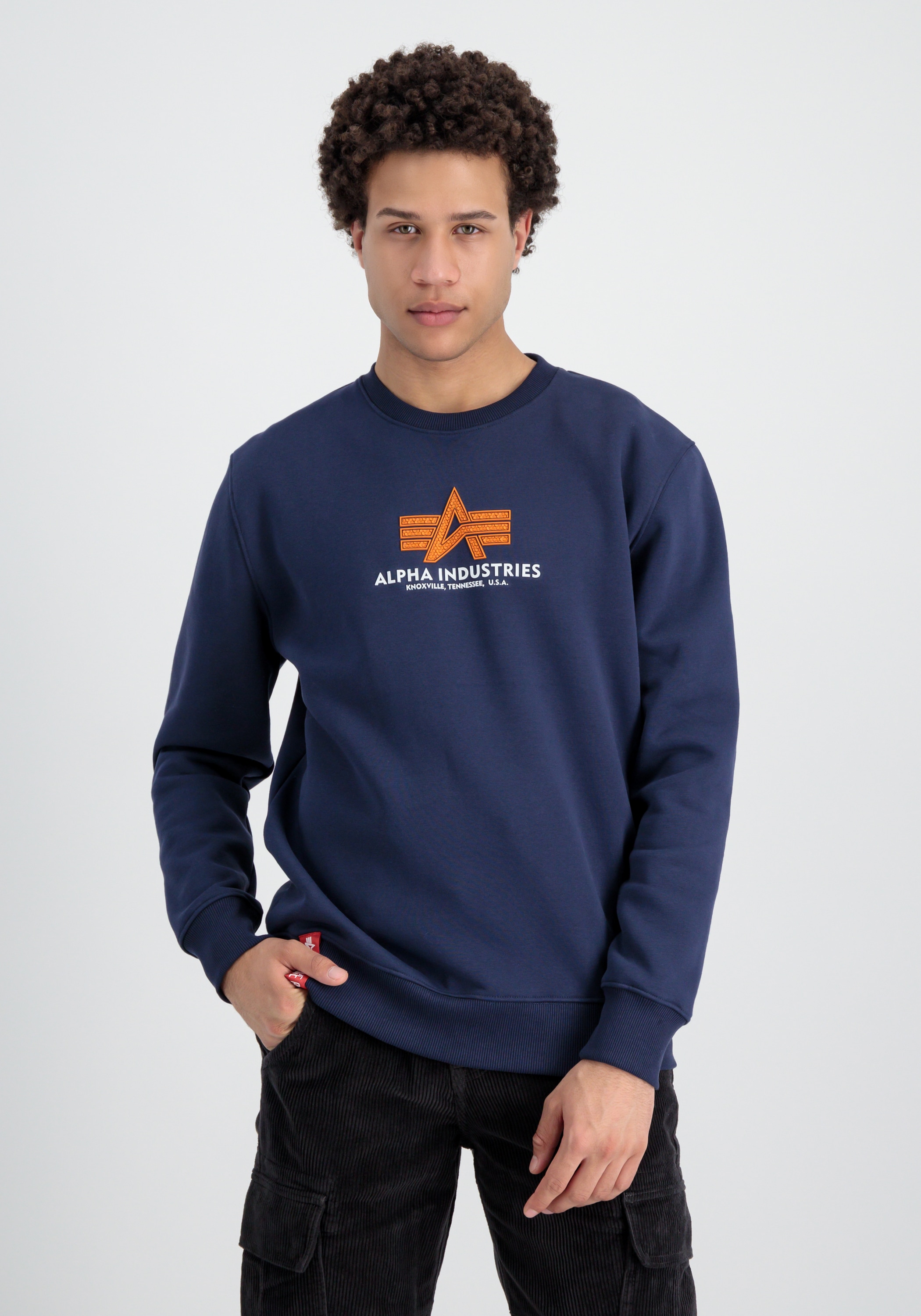Sweater »ALPHA INDUSTRIES Men - Sweatshirts Basic Sweater Rubber«