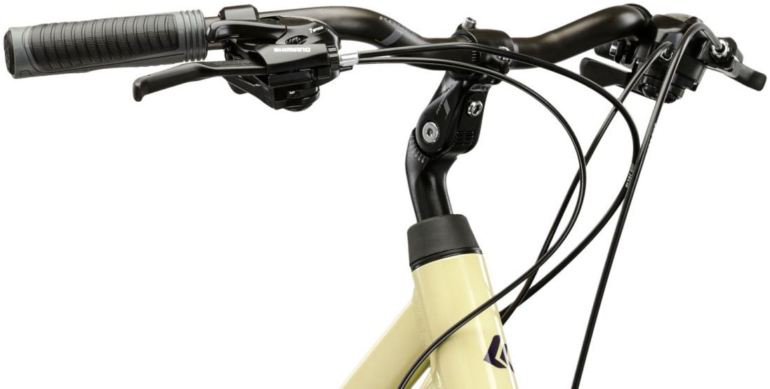 Kross Trekkingrad »Damen-Trekkingrad 28" Trans 1.0 Natur 21 Gänge« 21 Gang Shimano TOURNEY TY300 Schaltwerk Kettenschaltung