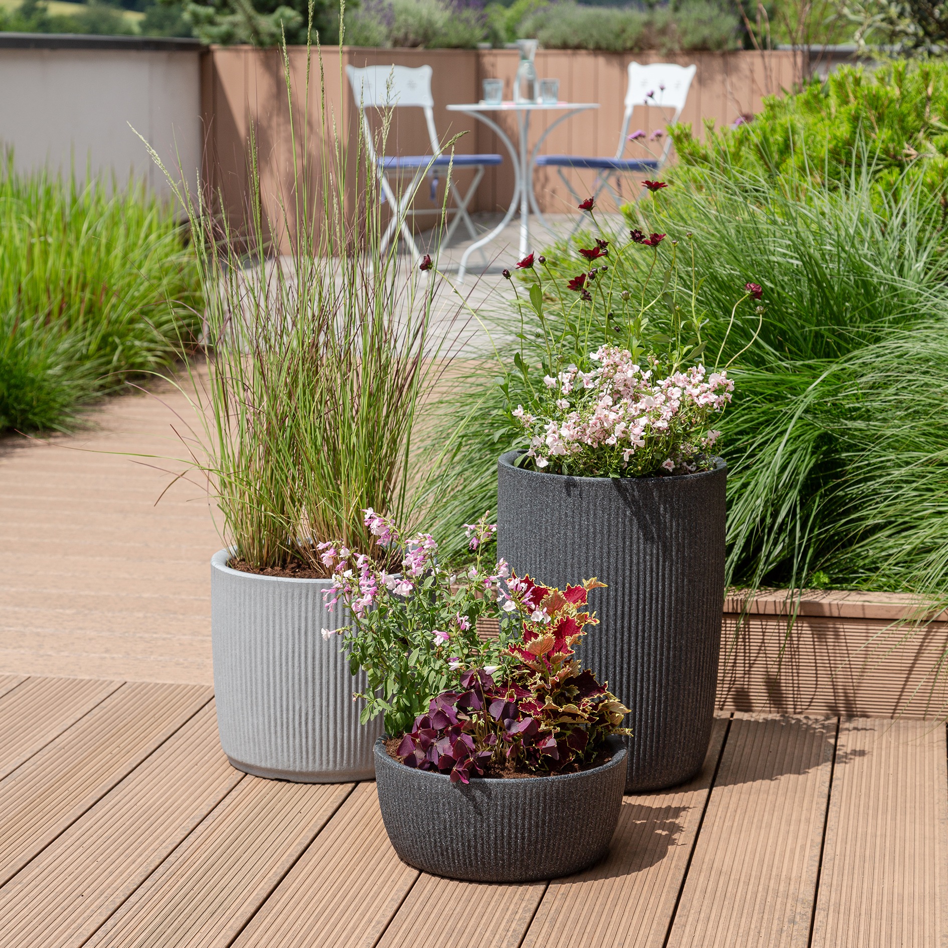 Scheurich Pflanzkübel »40/273 LINETTO BOWL« Pflanzschale aus Kunststoff, ØxH: 38,6x17,1 cm