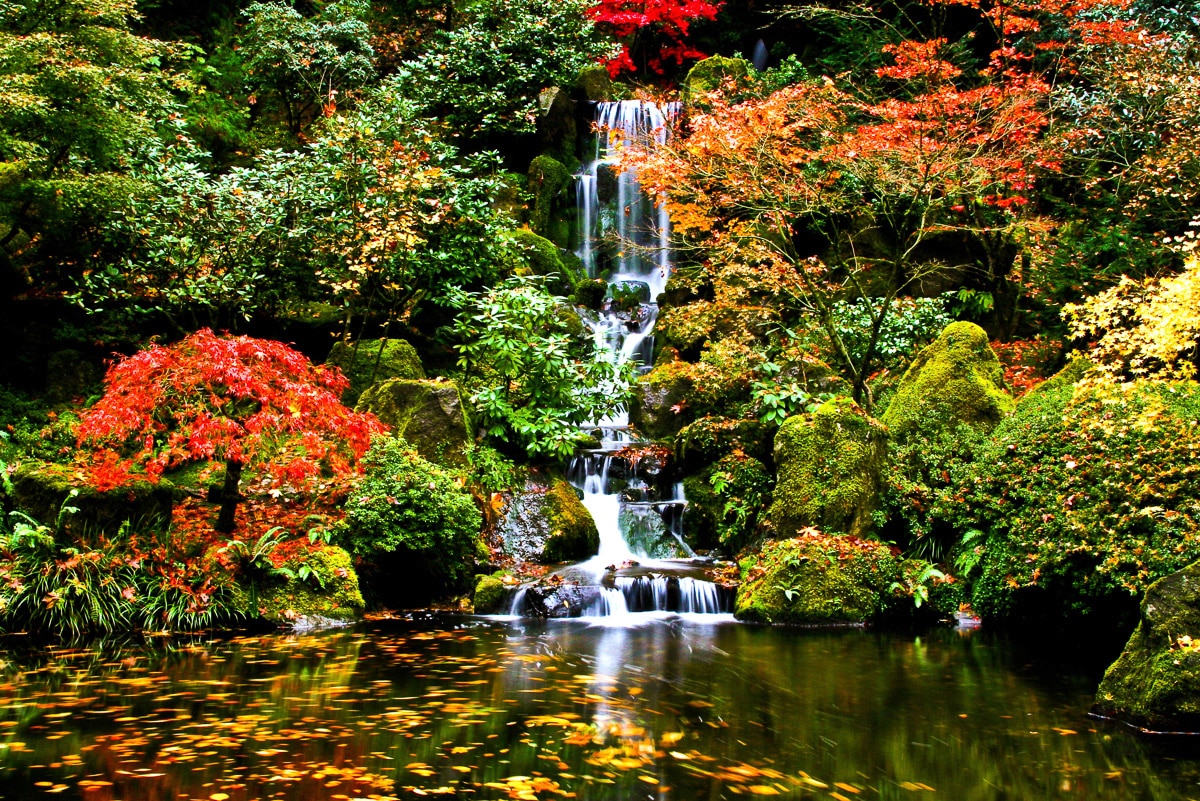 Papermoon Fototapete "Wasserfall in Japanischen garten"