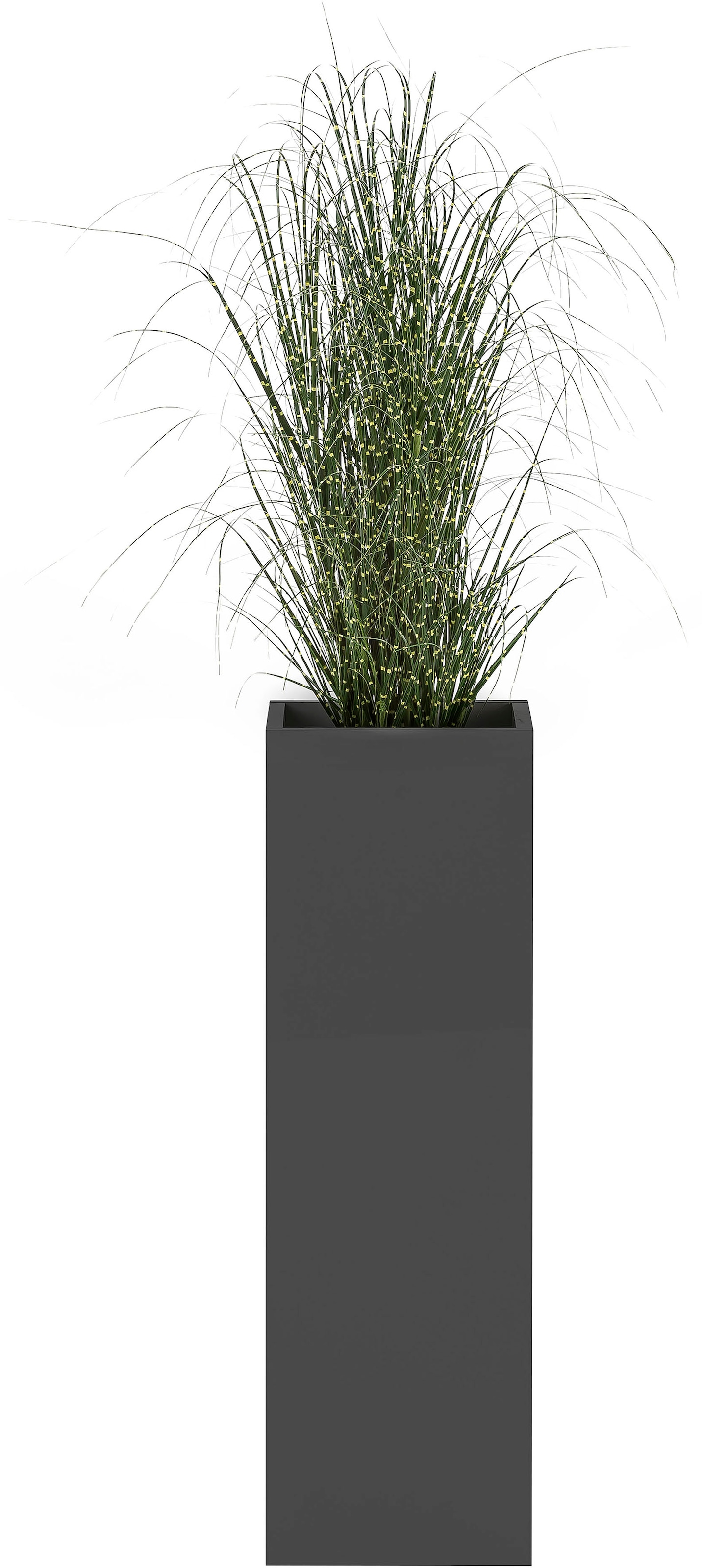 Schildmeyer Blumenkasten »Serie 1500«