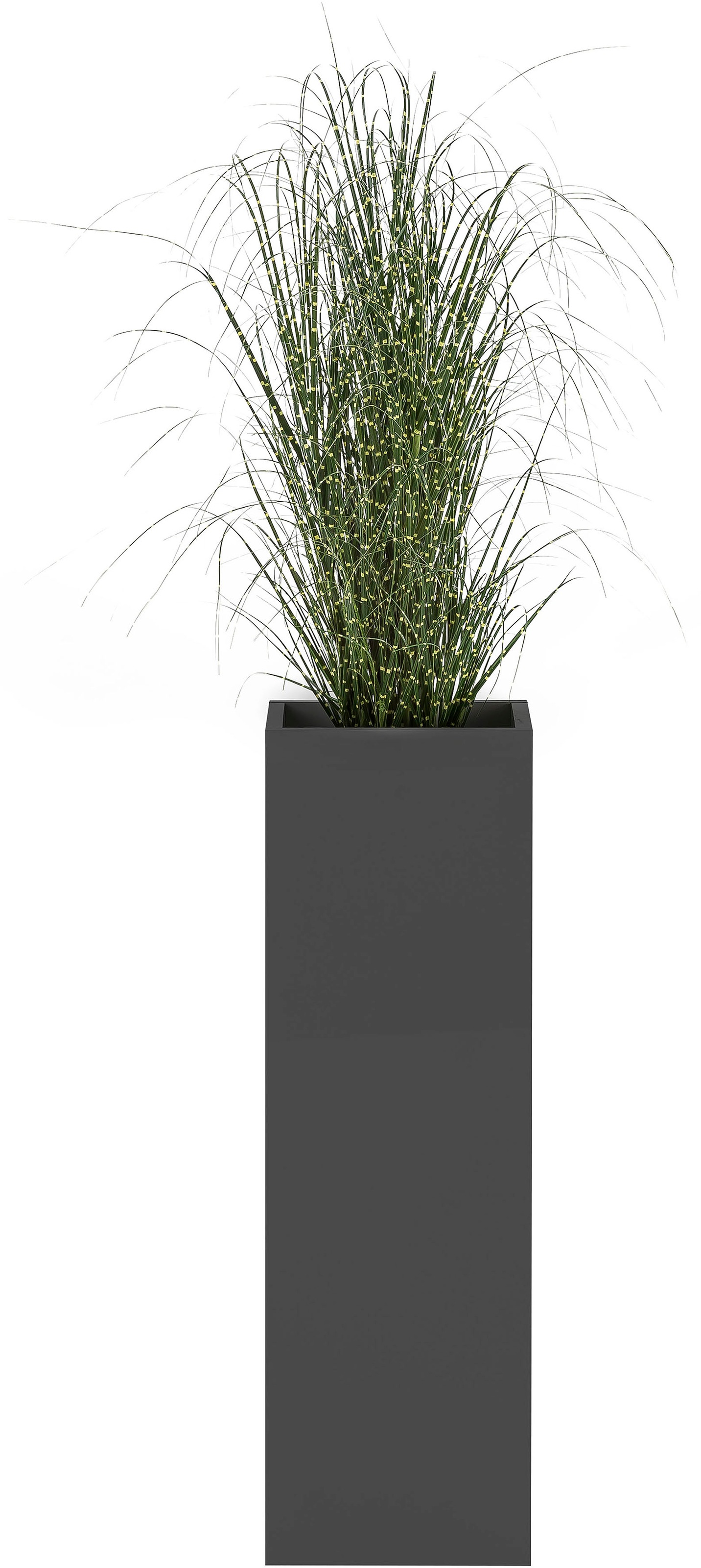 Schildmeyer Blumenkasten "Serie 1500" günstig online kaufen