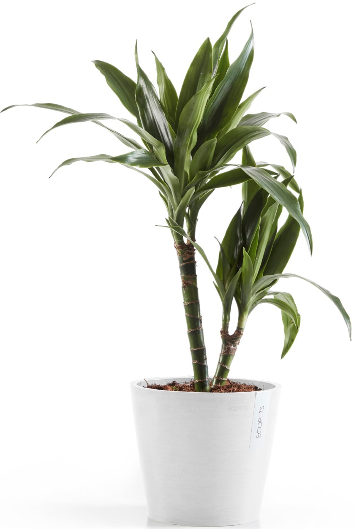 ECOPOTS Blumentopf »Amsterdam 20 + Wassersystem Weißgrau«, für innen und außen: frostsicher, bruchsicher und lichtbeständig