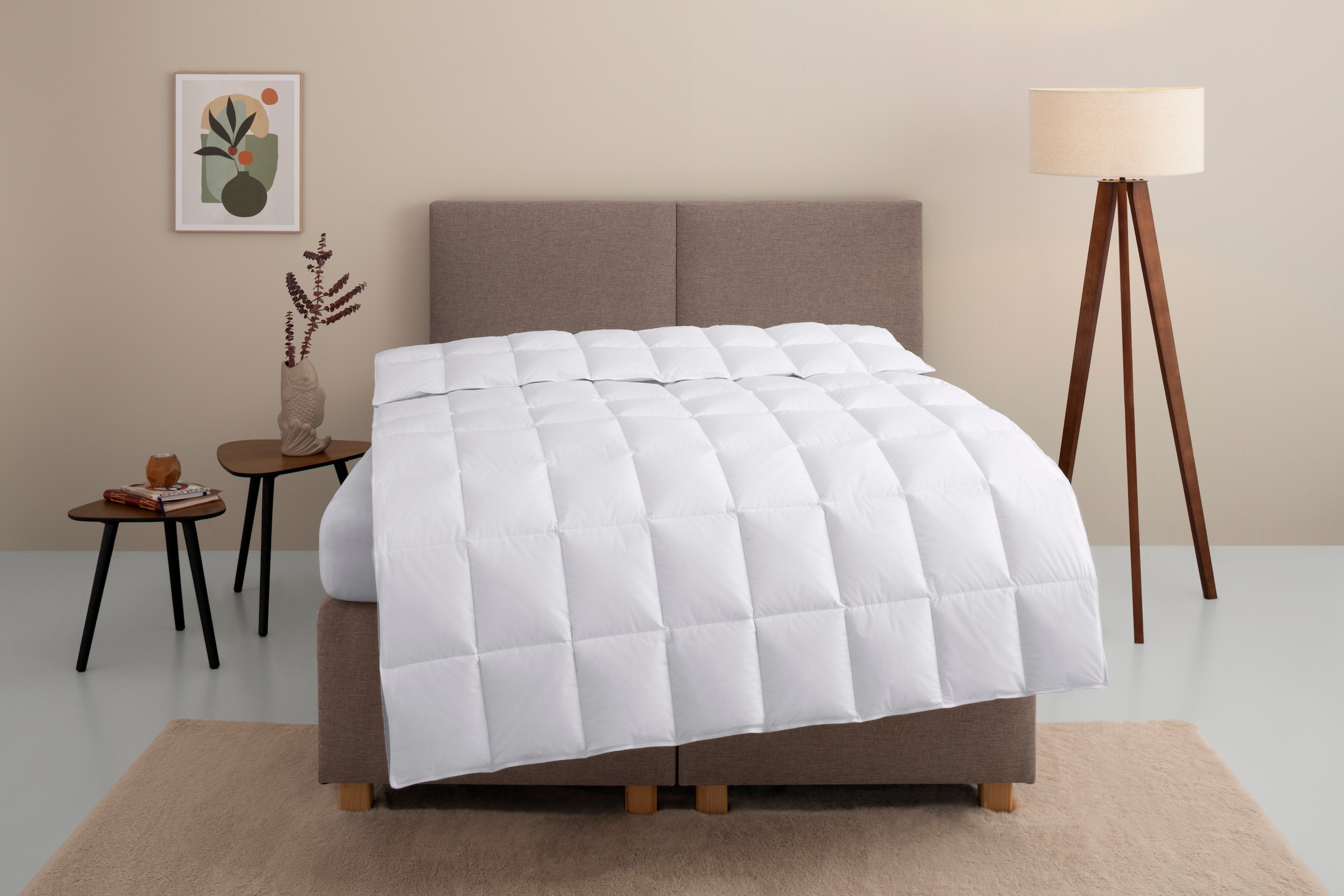 Home affaire Daunenbettdecke "Marseilles Bettdecke 135x200 cm und 155x220 c günstig online kaufen