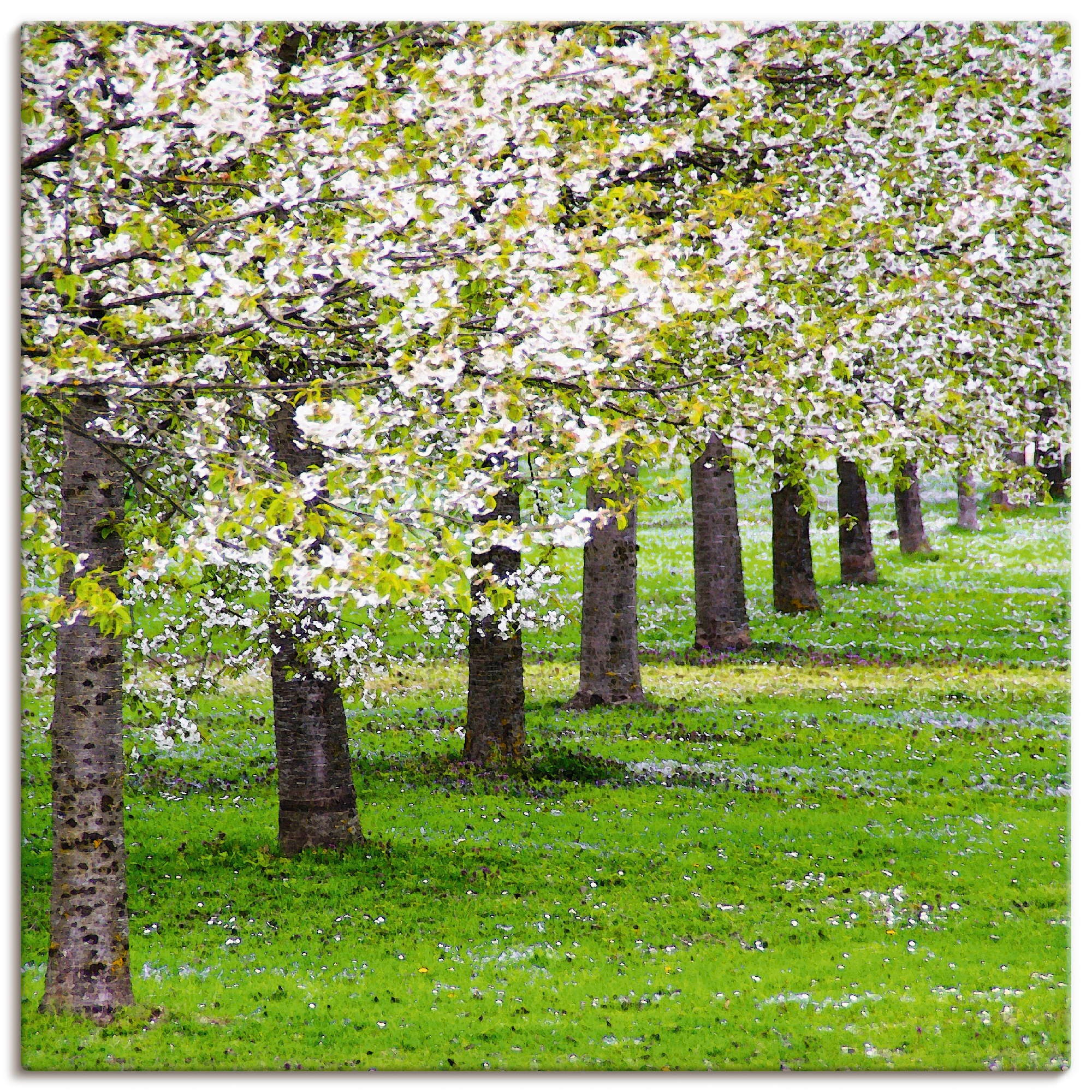 Artland Leinwandbild "Blütenmeer", Bäume, (1 St.), auf Keilrahmen gespannt