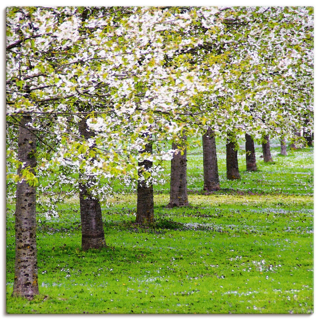 Artland Leinwandbild »Blütenmeer«, Bäume, (1 St.)