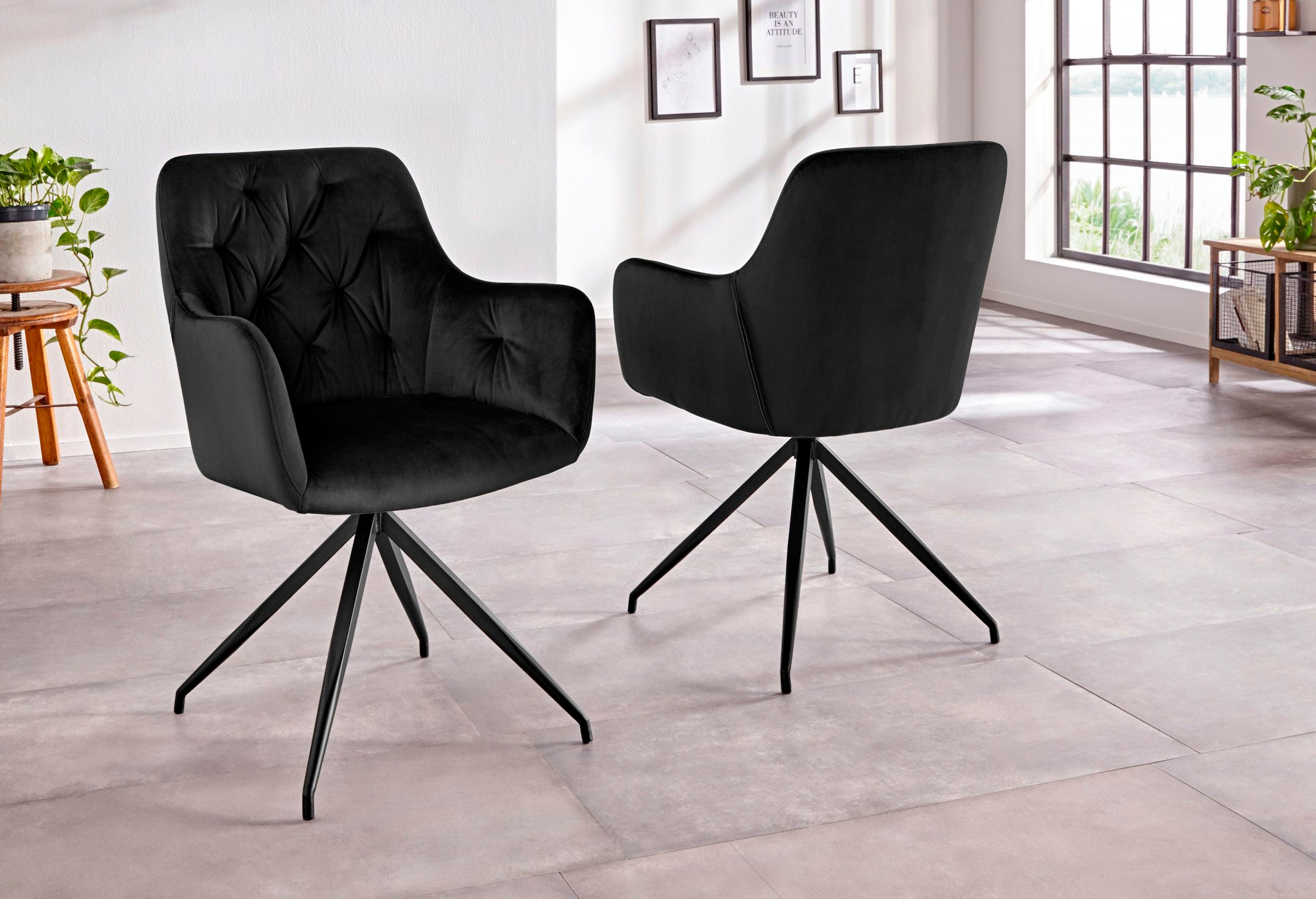 Inosign Stühle 2024 Kollektion ▷ BAUR Online-Shop |
