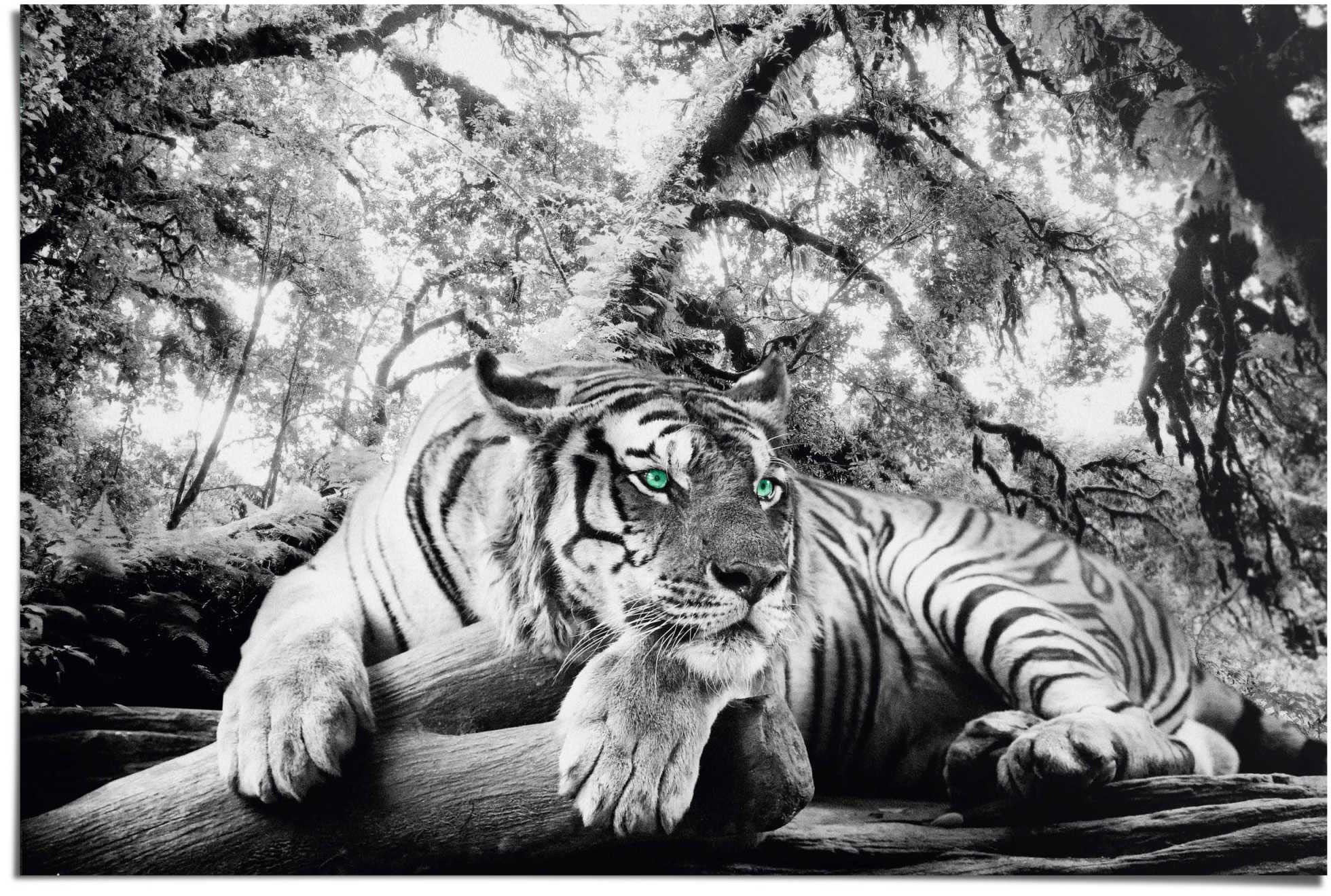 Reinders Poster "Tigerblick" 1 Stk. tlg. günstig online kaufen