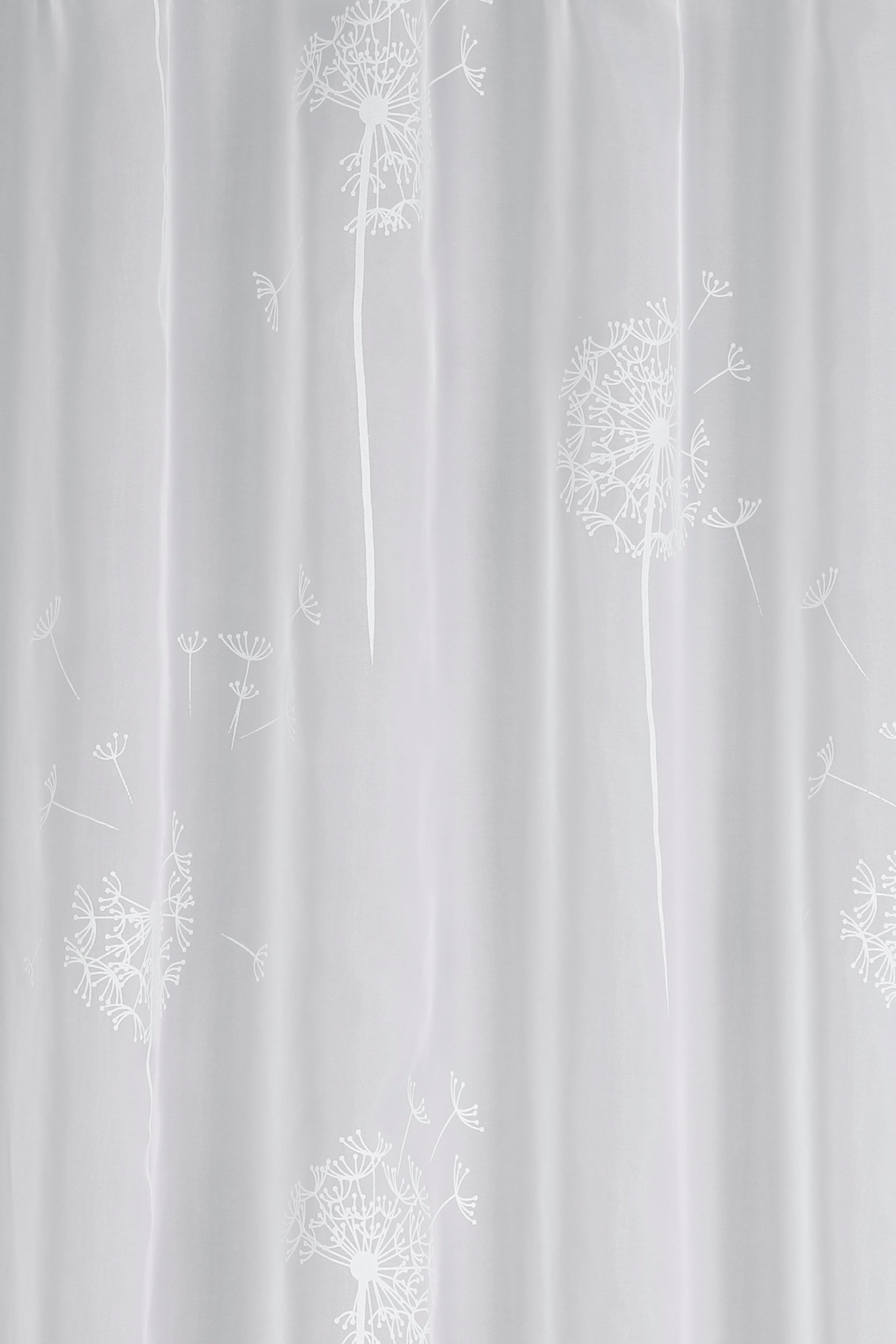 Gardine »Schal Voile mit Flockprint Pusteblume«, (1 St.), mit Schlaufen