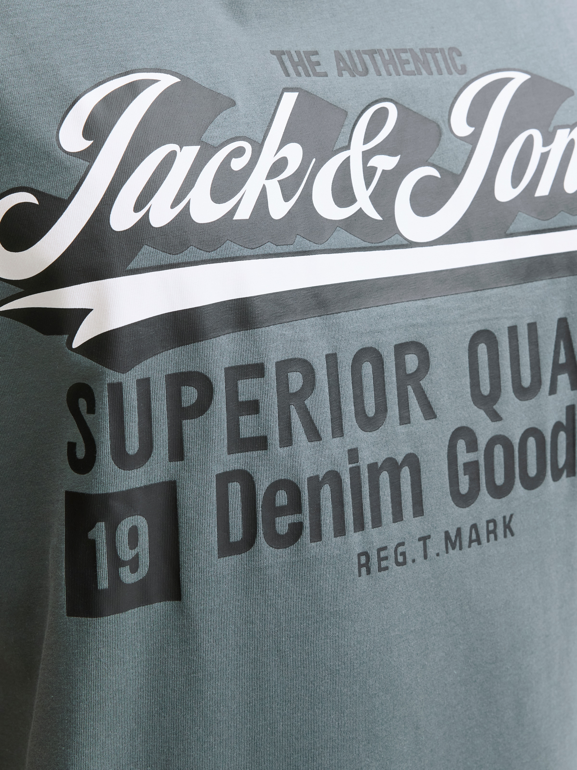 Jack & Jones PlusSize T-Shirt »JJELOGO TEE SS ONECK 2 COL AW25 NOOS PLS«