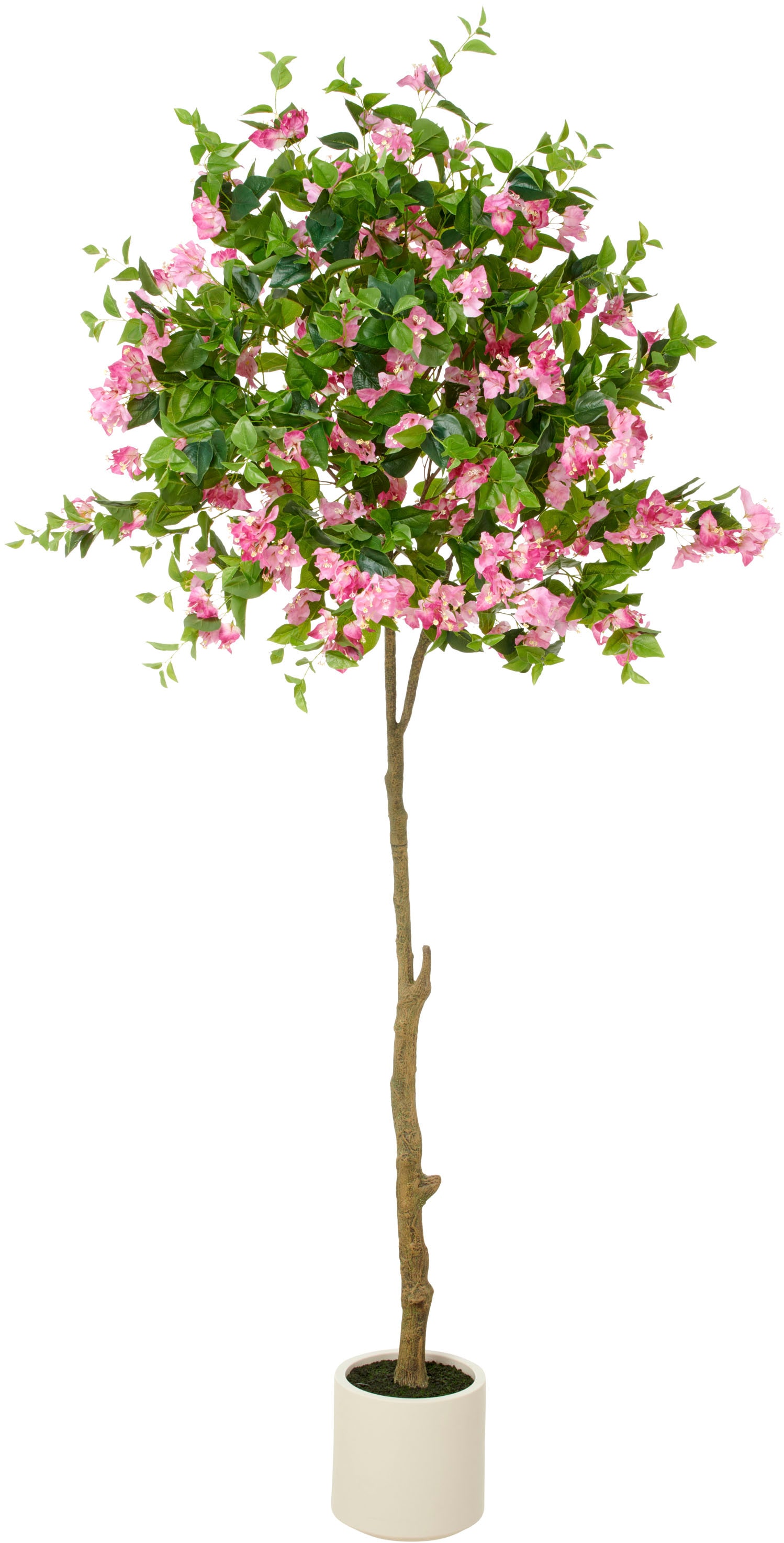 Creativ green Kunstbaum "Bougainvillea", mit zahlreichen Blüten günstig online kaufen