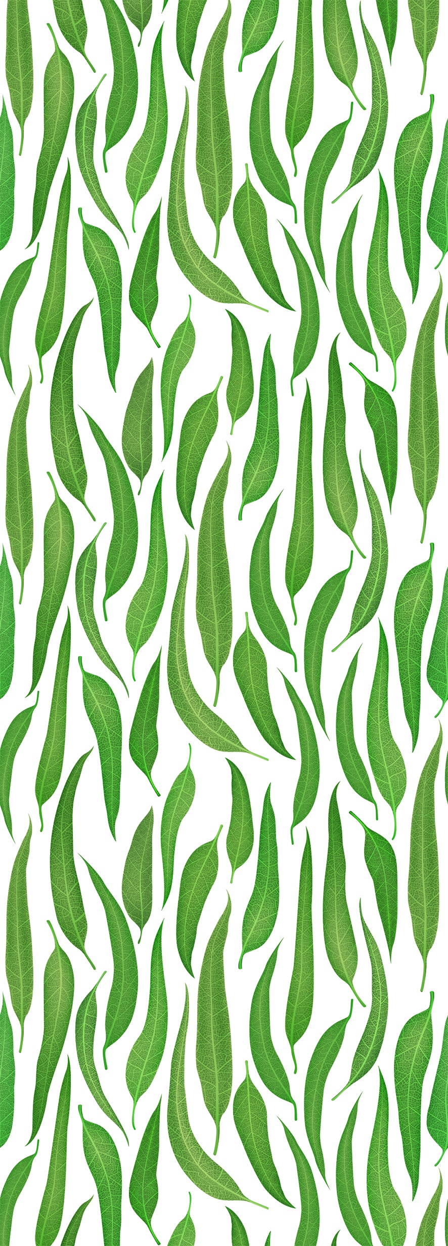 queence Vinyltapete "Weiden Blätter", 90 x 250 cm, selbstklebend