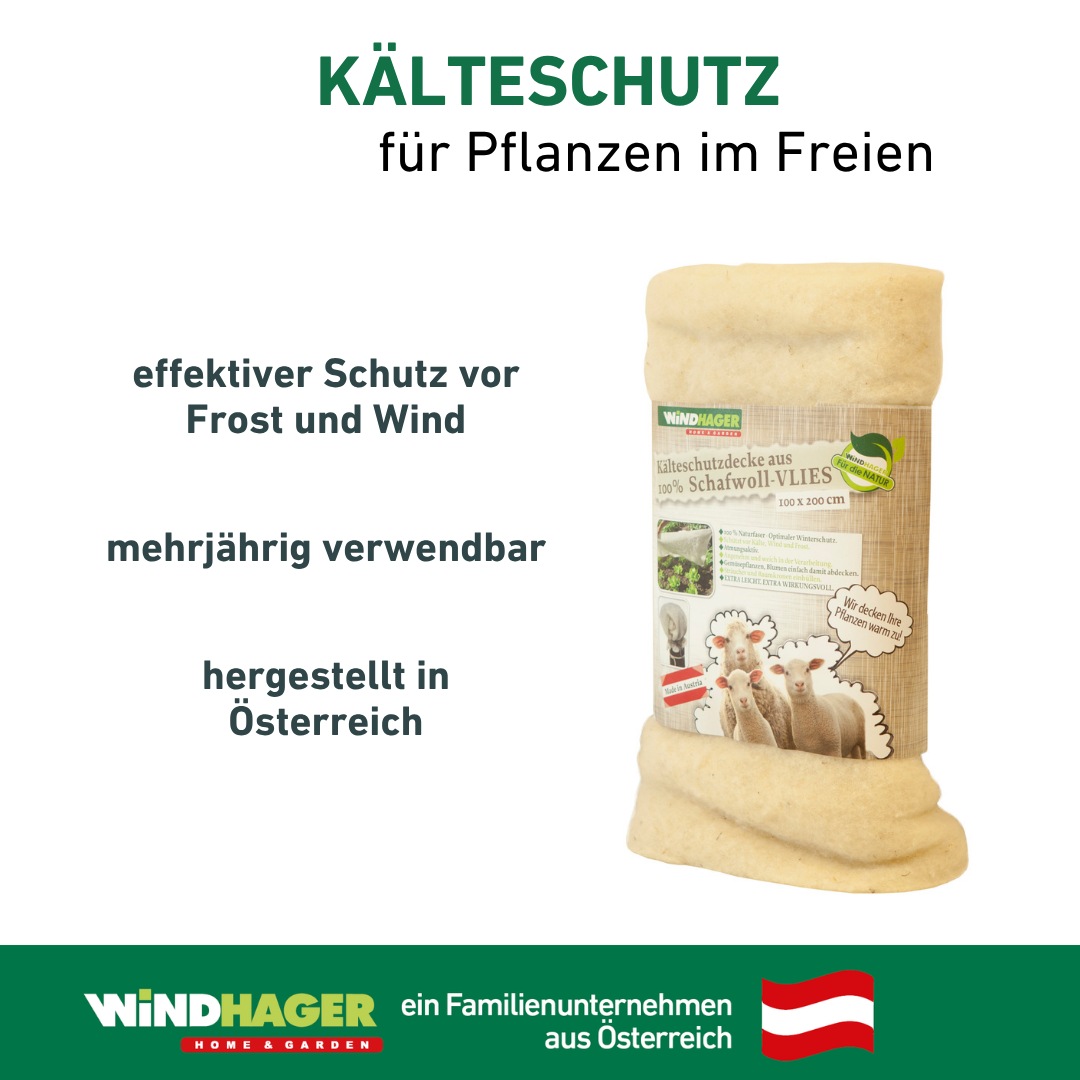 Windhager Winterschutzvlies »aus Schafswolle, Vliesdecke für Pflanzen« 1 Stk. tlg. Kälteschutz Matte gegen Wind und Frost, 2 x 1 m, 100 g/m², weiß