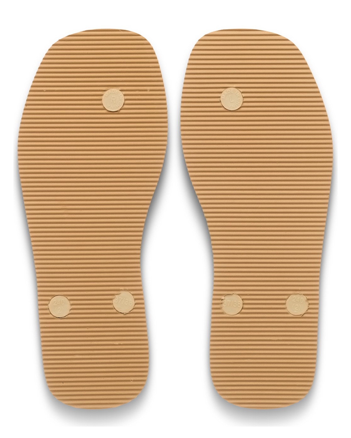 Roxy Sandale »Arizona Dreams«