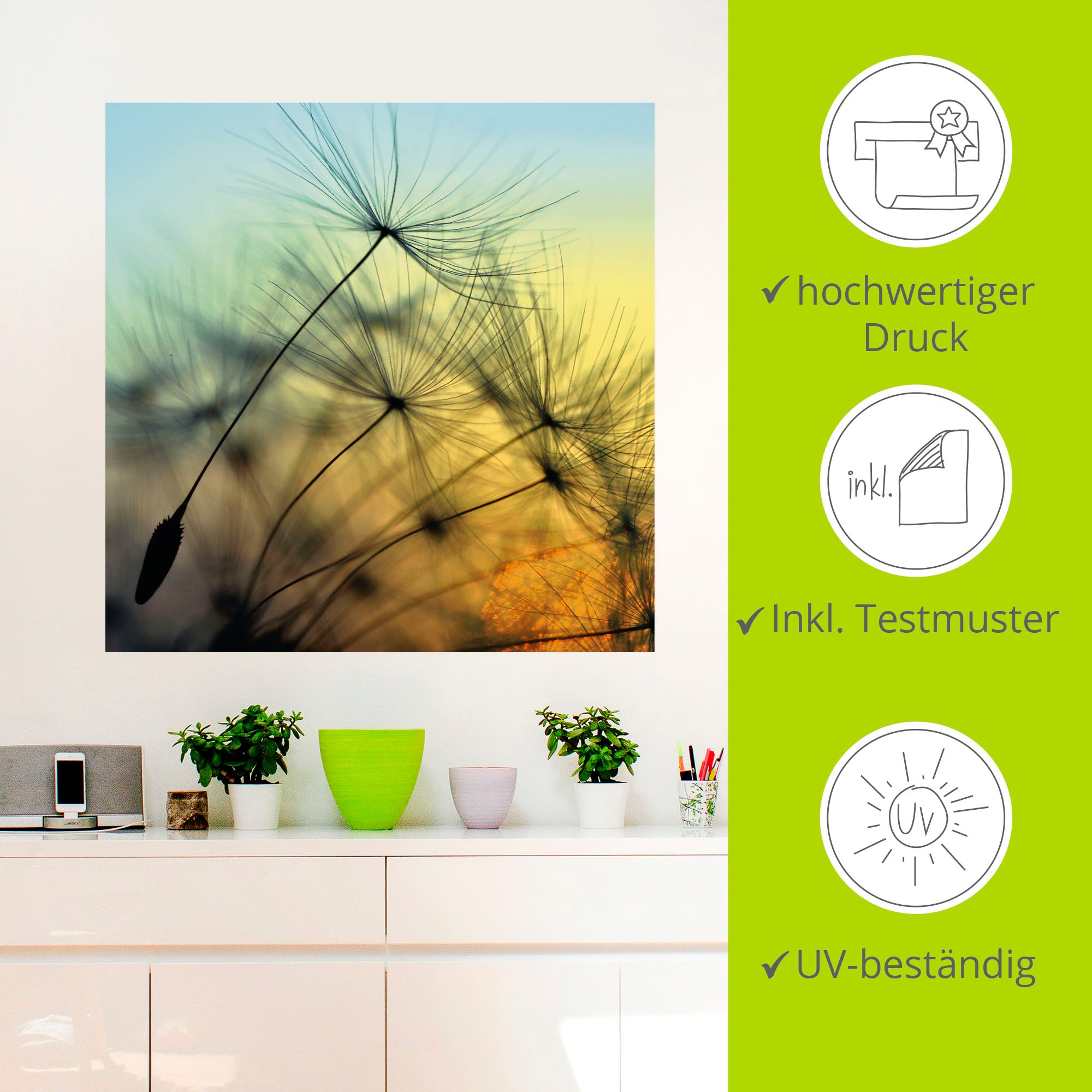 Artland Wandbild »Goldener Sonnenuntergang und Pusteblumen«, Blumen, (1 St.), als Alubild, Outdoorbild, Leinwandbild, Poster, Wandaufkleber