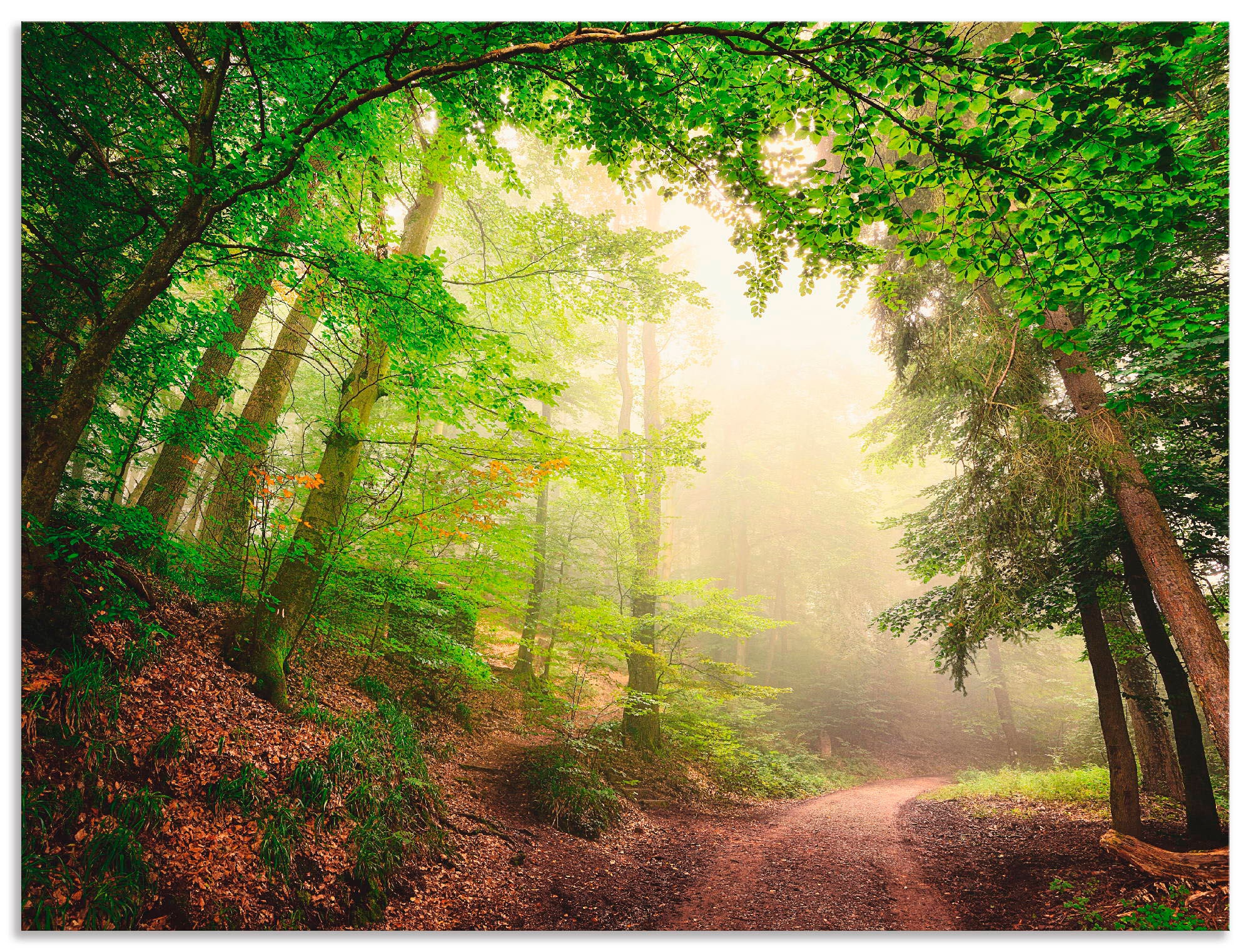 Artland Wandbild "Natürliche Torbögen durch Bäume", Wald, (1 St.), als Alubild, Outdoorbild, Poster, Wandaufkleber in ve