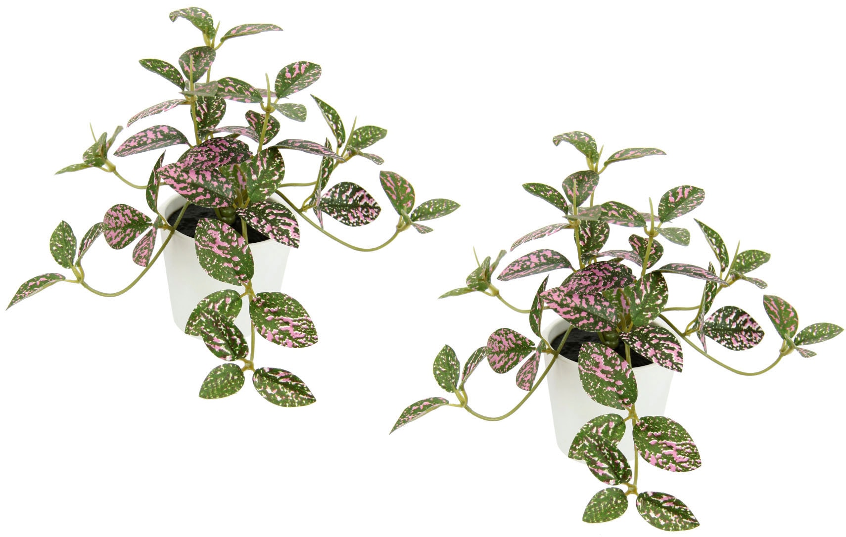 Kunstpflanze »Künstliche Zimmerpflanze mini Aucuba im Topf Pflanze«, Seidenblumen...