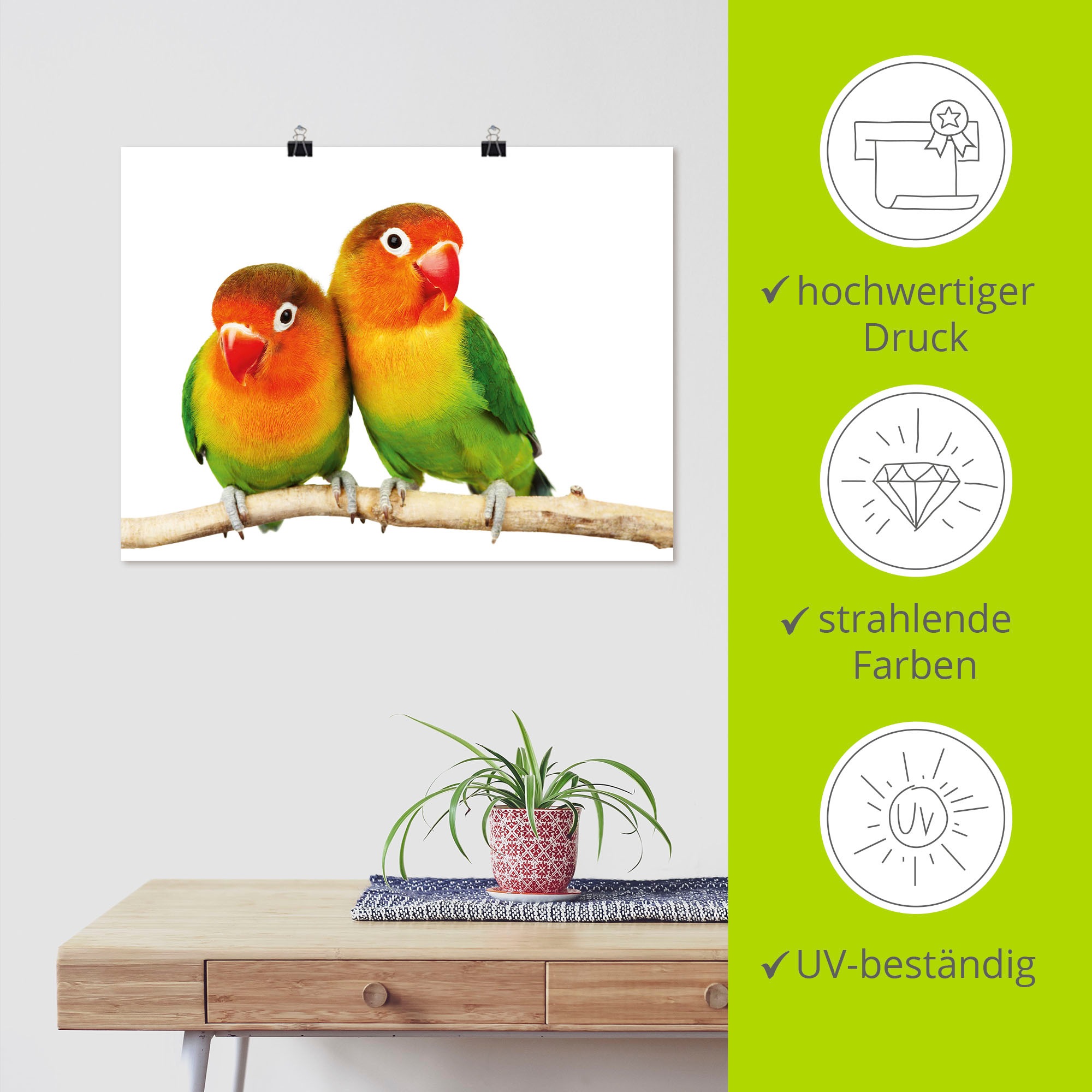 Artland Wandbild "Paar von Grauköpfchen - Papageien", Vögel, (1 St.), als L günstig online kaufen