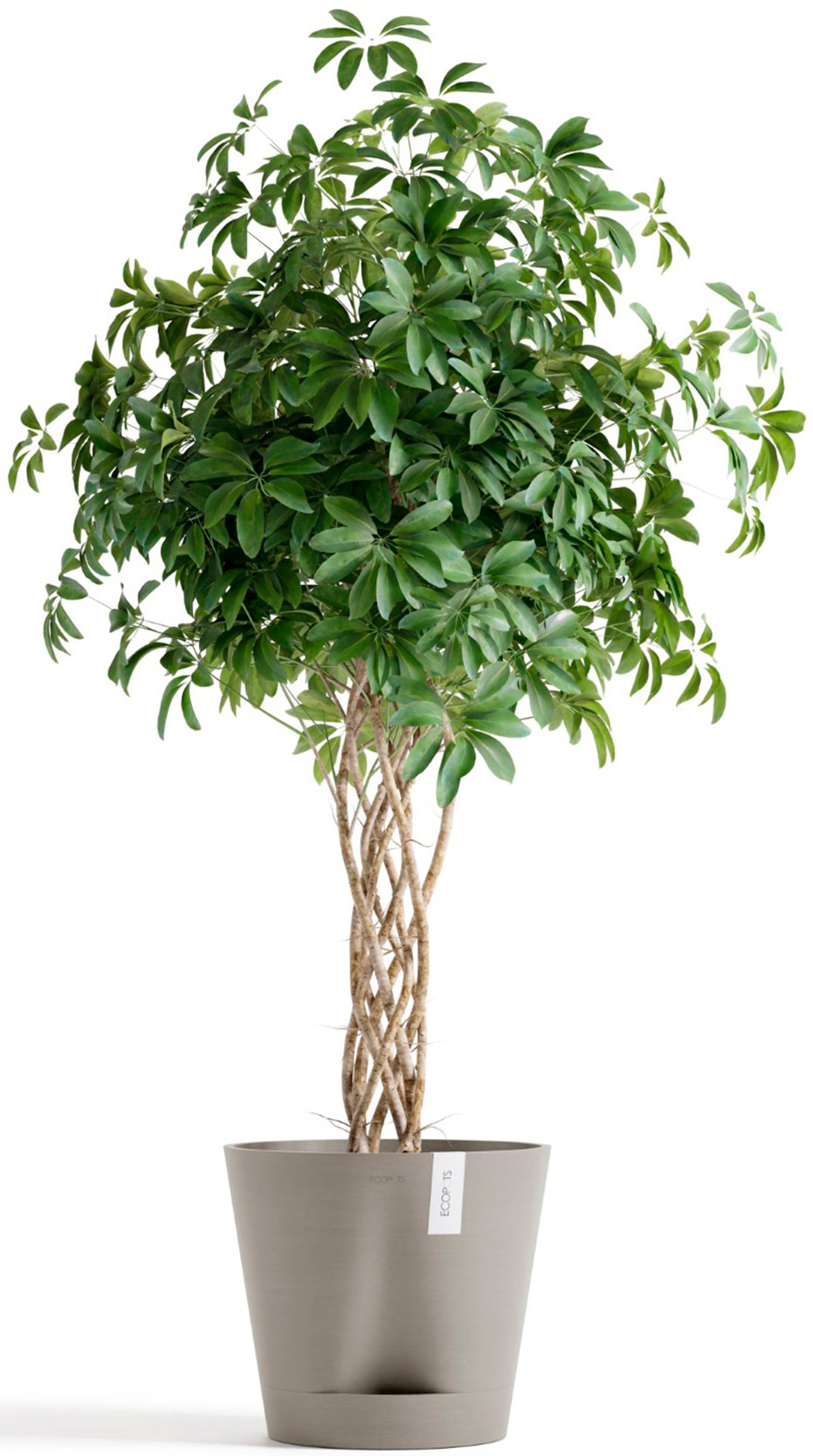ECOPOTS Blumentopf »Venice 2 40 Taupe«, für den Innenbereich