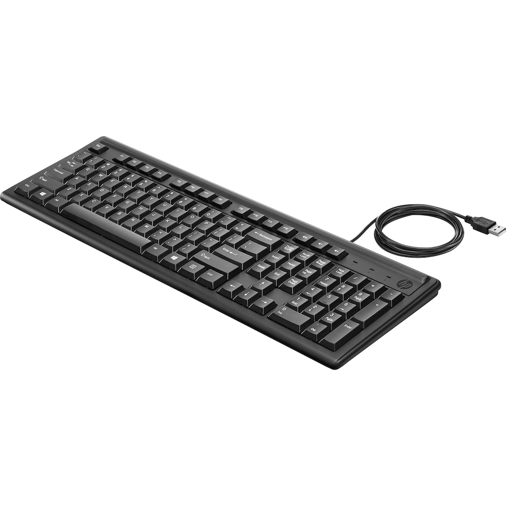 HP Tastatur »Keyboard 100«, (Funktionstasten-Ziffernblock-USB-Anschluss)