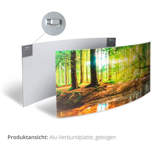 Artland Wandbild »Wasserfall im Wald National Park«, Gewässer, (1 St.), 3D  Optik gebogen bestellen | BAUR