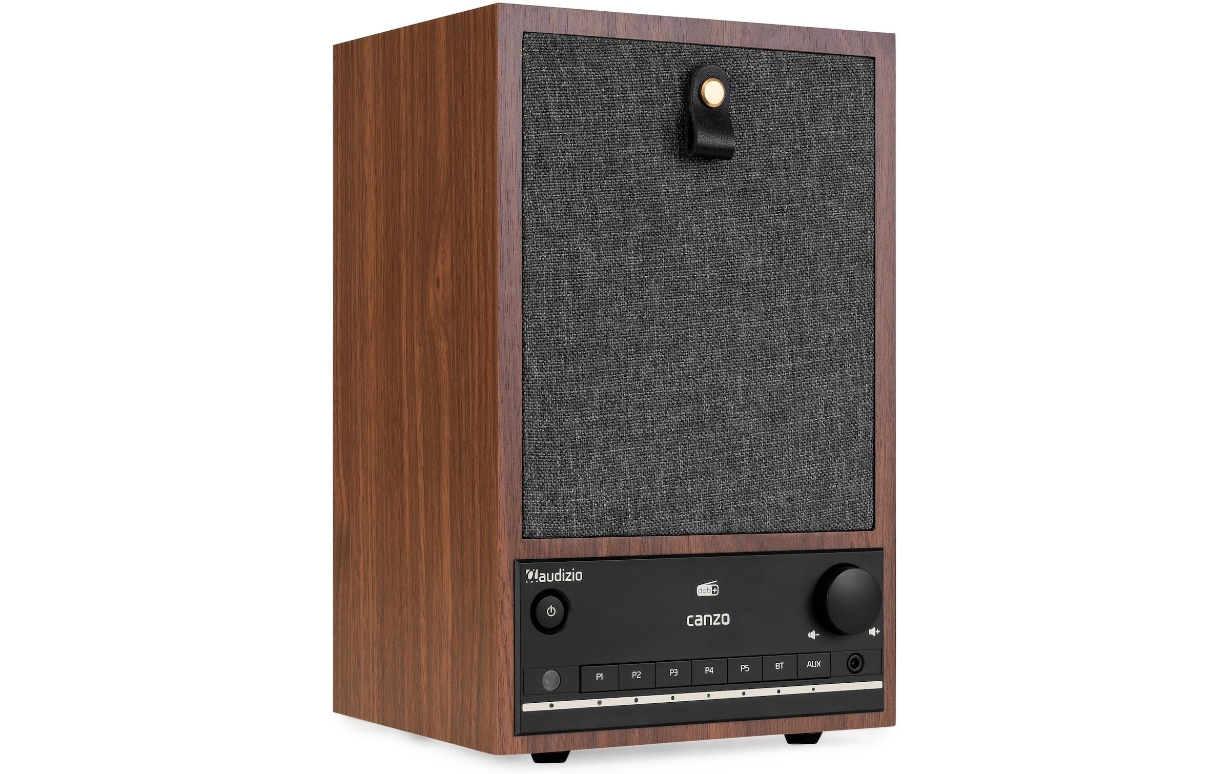 AUDIZIO Digitalradio (DAB+) »Internet Canzo« ( )