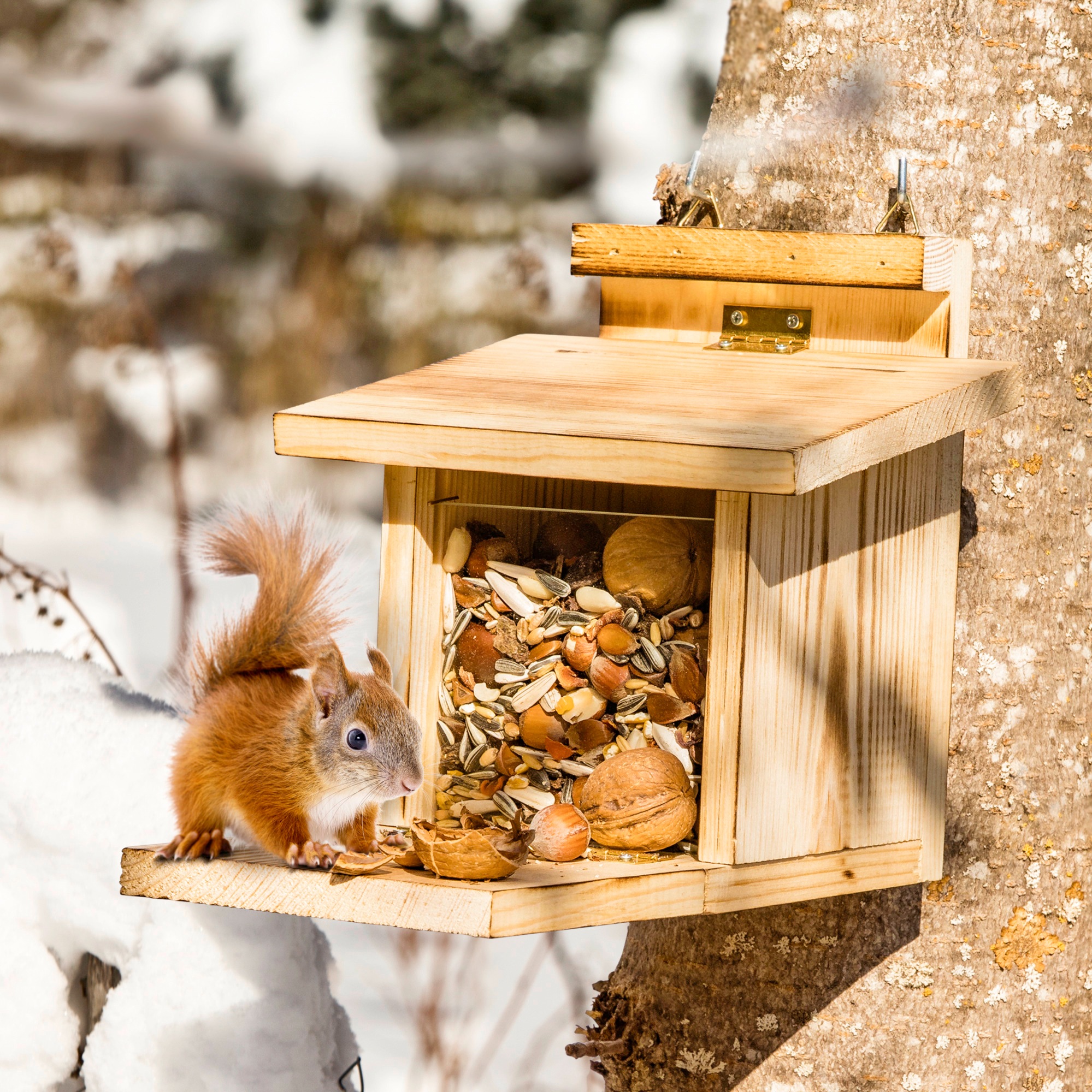 Windhager Futterhaus "für Eichhörnchen mit klappbarem Boden, Überwinterungshilfe" Futterstation aus natürlichem Holz, Nussstation für Wildtiere