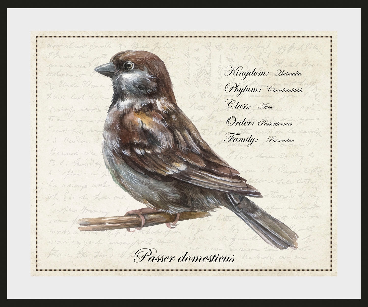 queence Bild »Passer domesticus« Kunst | Sprüche & Texte | Vogelbilder | Vögel | historische Ereignisse 1 Stk. tlg. HD Premium Poster-Druck inkl. Holzrahmen
