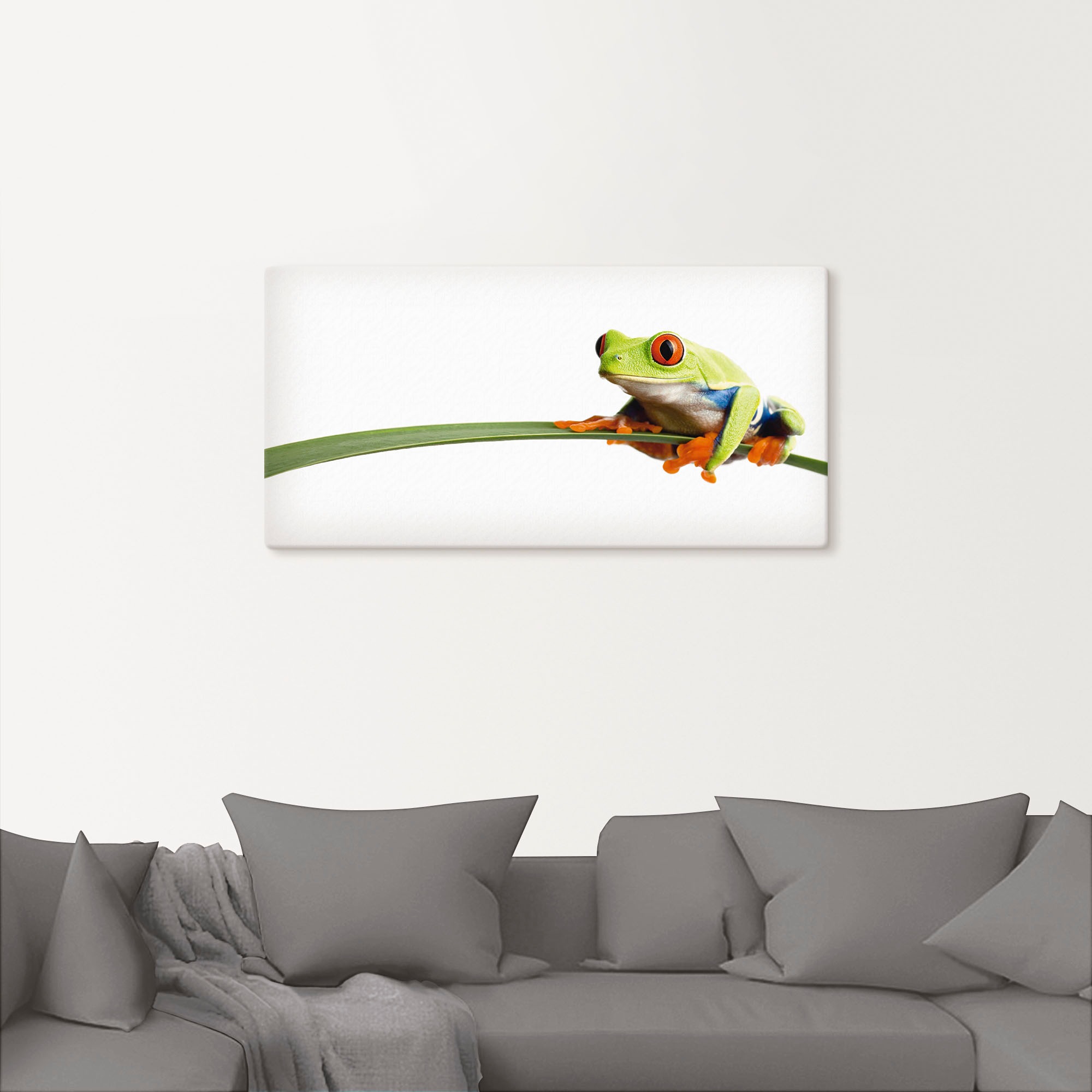 Artland Wandbild "Frosch auf einem Blatt" Wassertiere 1 Stk. tlg. als Leinw günstig online kaufen