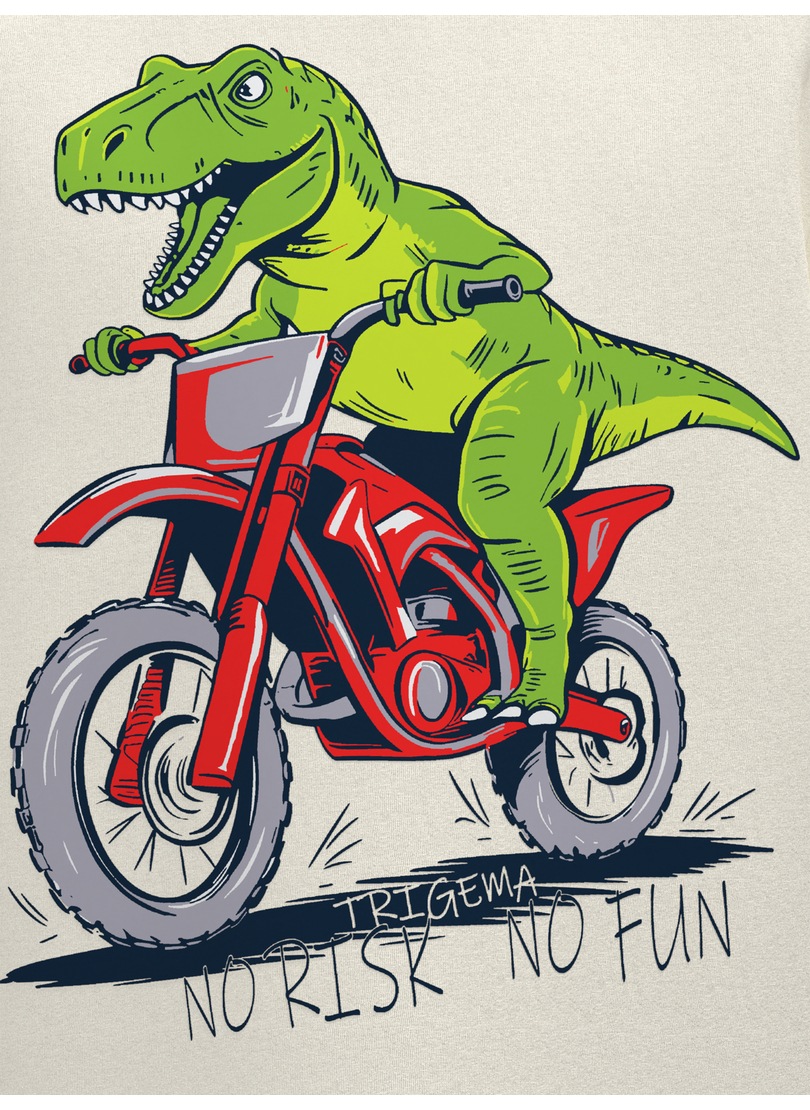 Trigema T-Shirt »TRIGEMA T Shirt mit Dino Motiv "No Risk No Fun"« 1