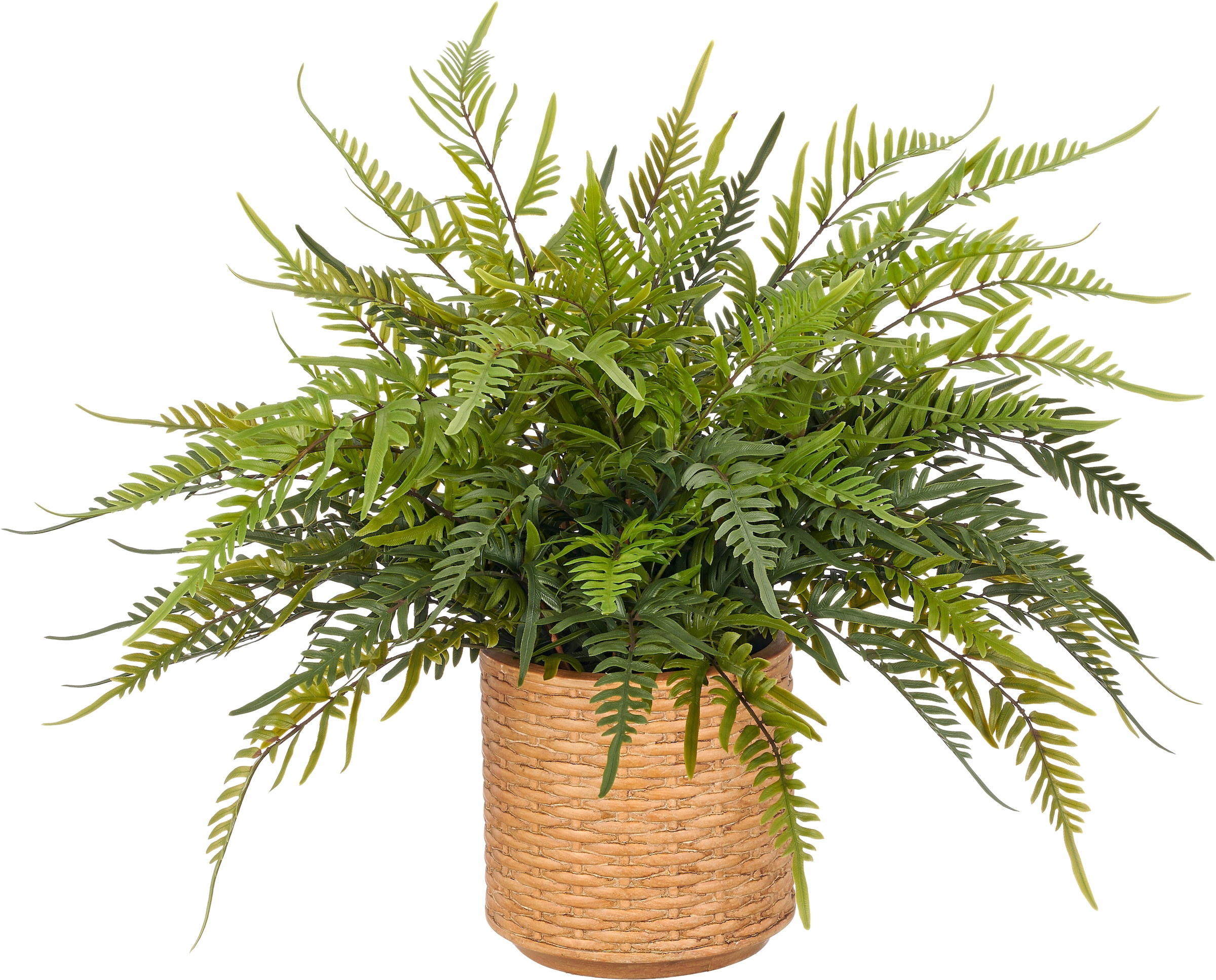 Creativ green Kunstpflanze "Farn Blechnum" mit naturgetreuen Farnwedeln