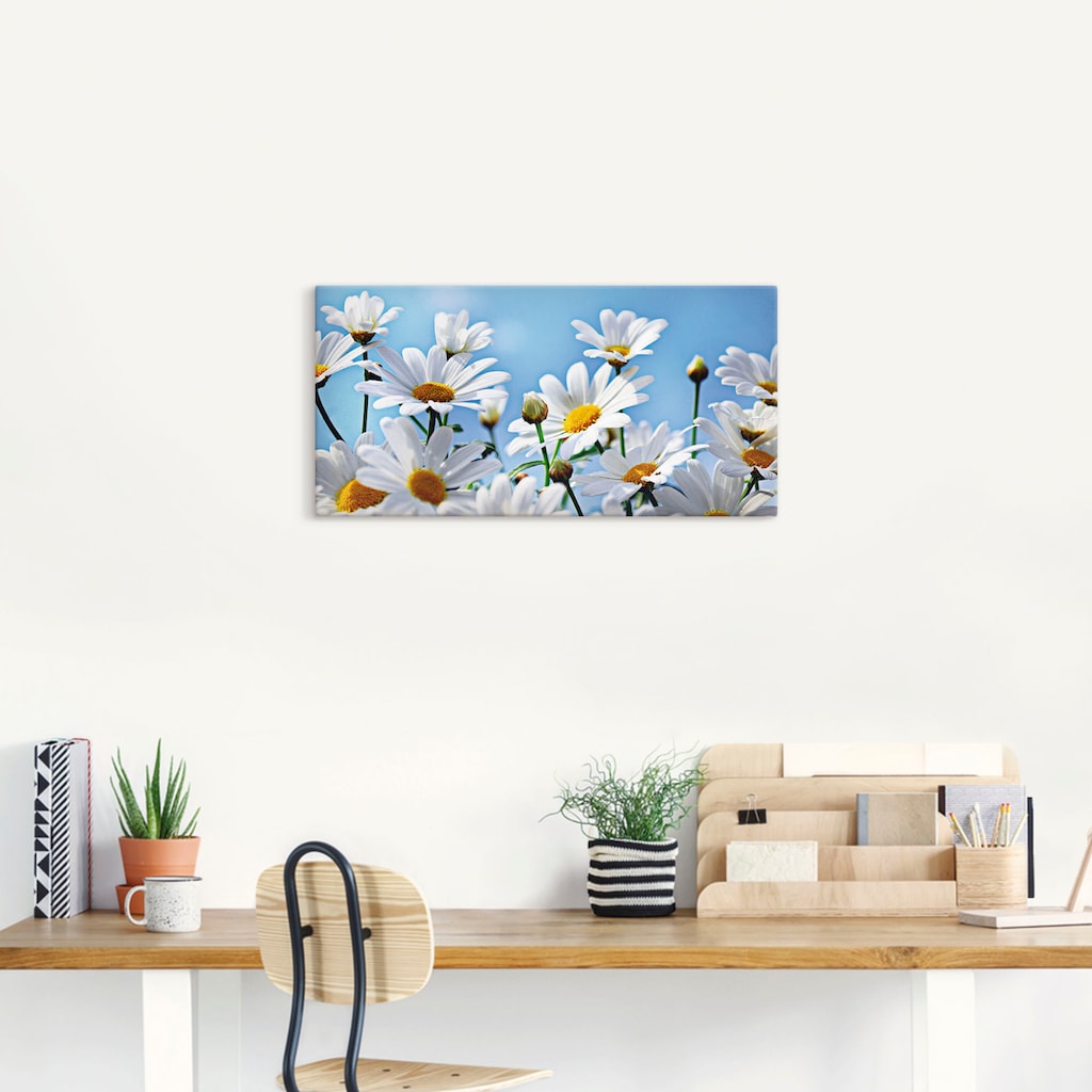 Artland Wandbild »Blumen - Margeriten«, Blumen, (1 St.)