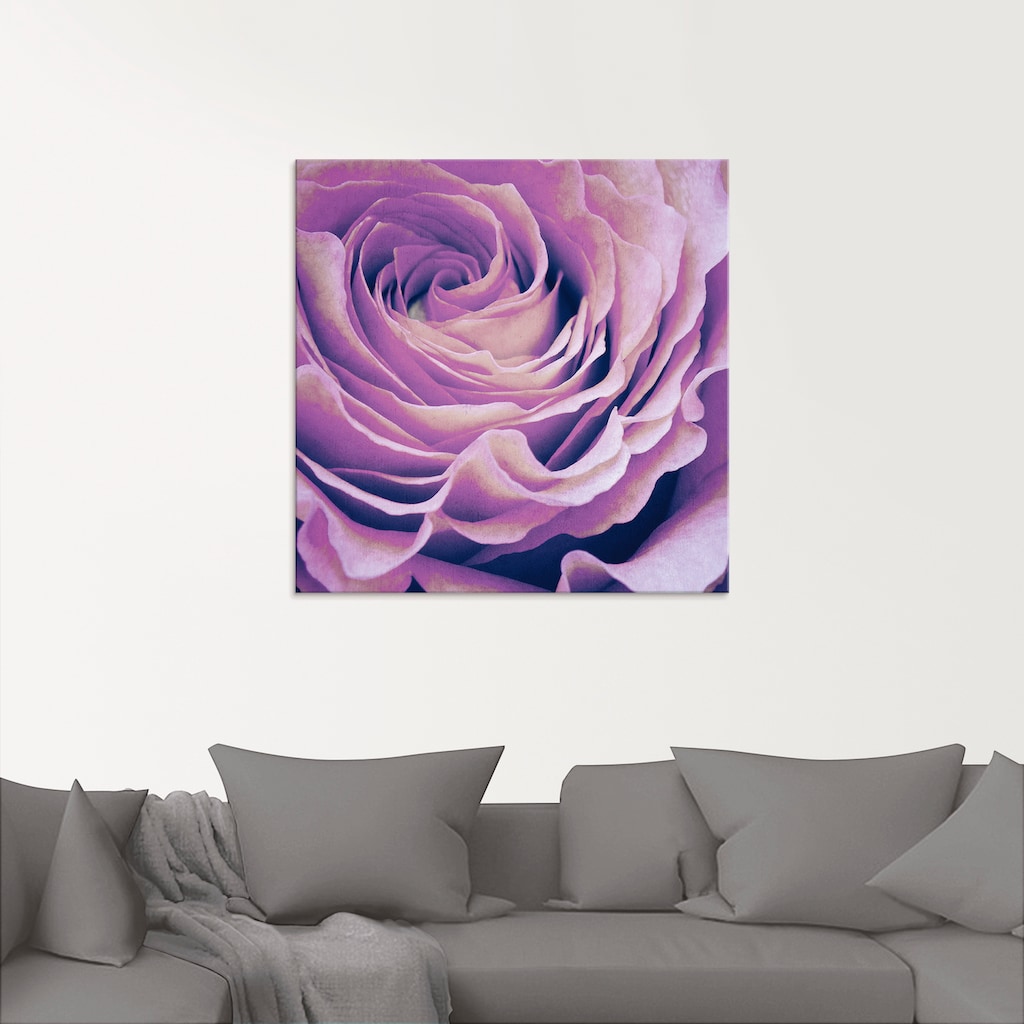 Artland Glasbild »Lila Rose«, Blumen, (1 St.)