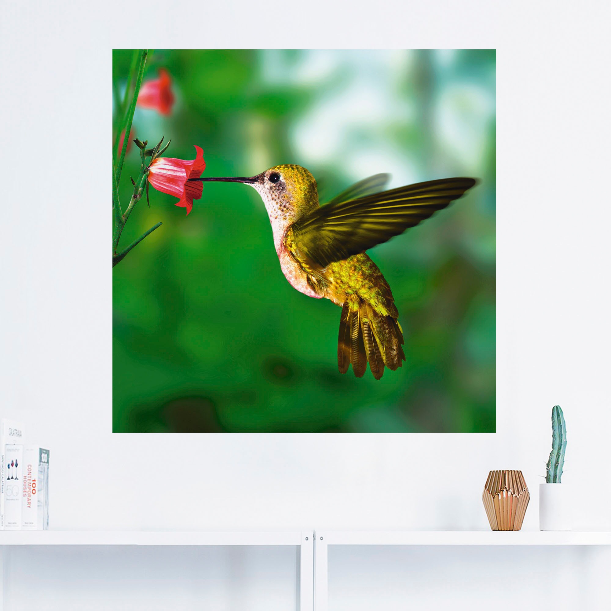 Artland Wandbild »Kolibri«, Vögel, (1 St.), als Alubild, Outdoorbild, Leinwandbild, Poster in verschied. Größen